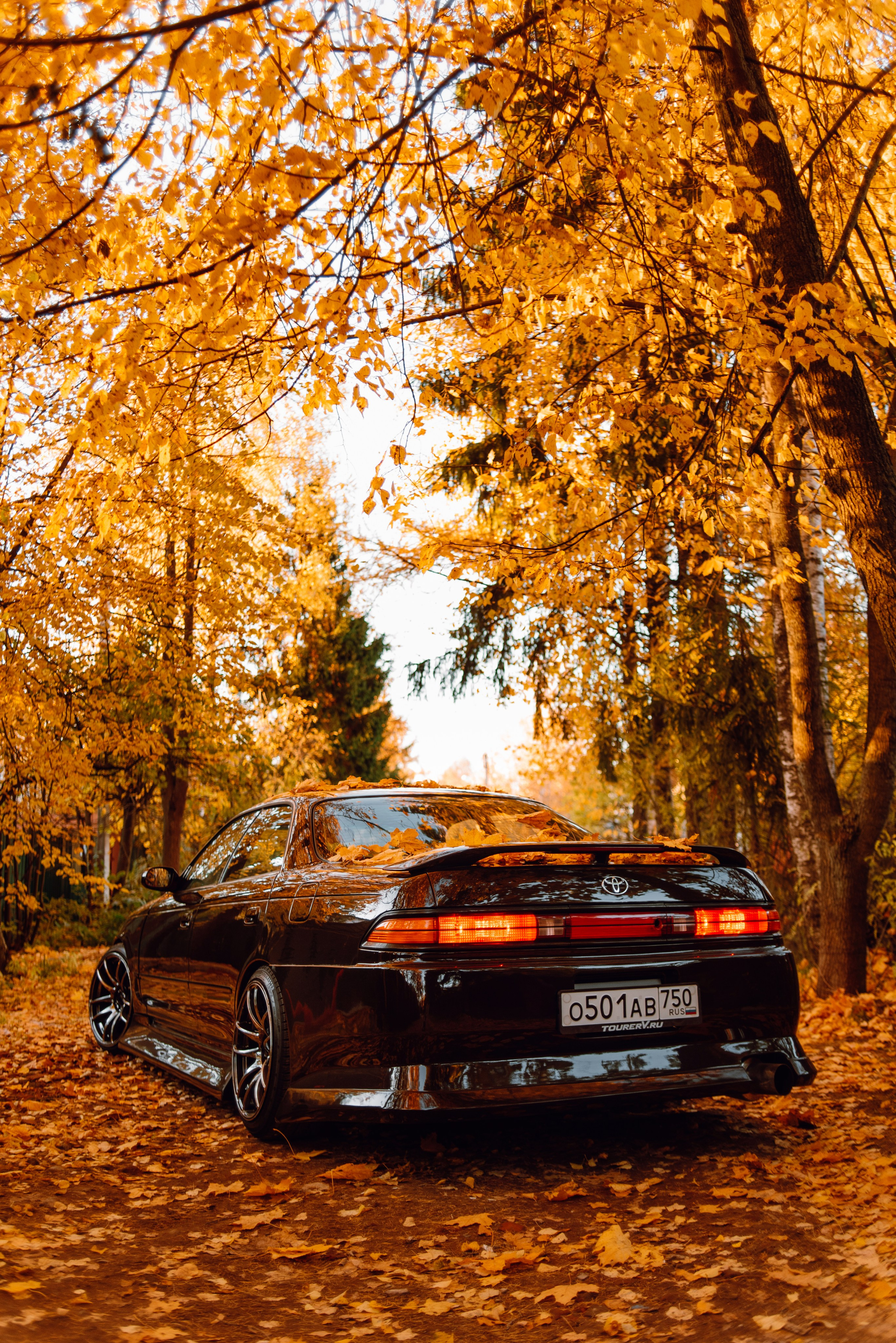 Toyota Mark ii _k_koroleva. DeLorein