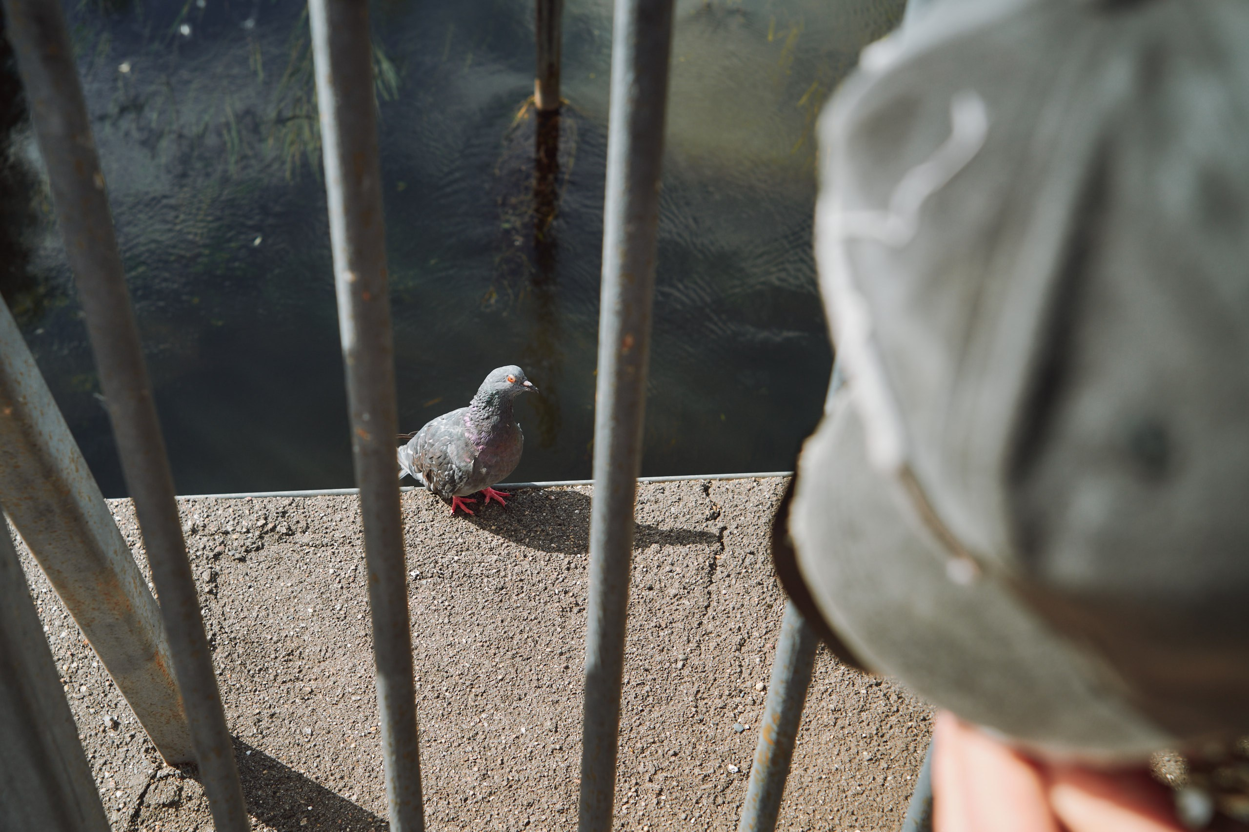 Фотопроект «The Люди» фотограф Александр Кондаков. Фотограф для маркетплейсов в Иваново | Съемки одежды и белья