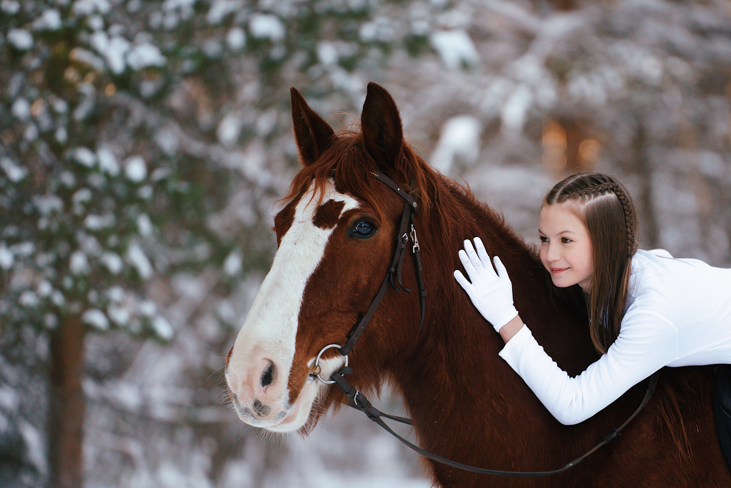 Конные. Фотограф Сибирика (Ирина Кузнецова), Санкт-Петербург и ЛО — портреты, свадьбы и семейные съемки. Творческий подход и качественные фото