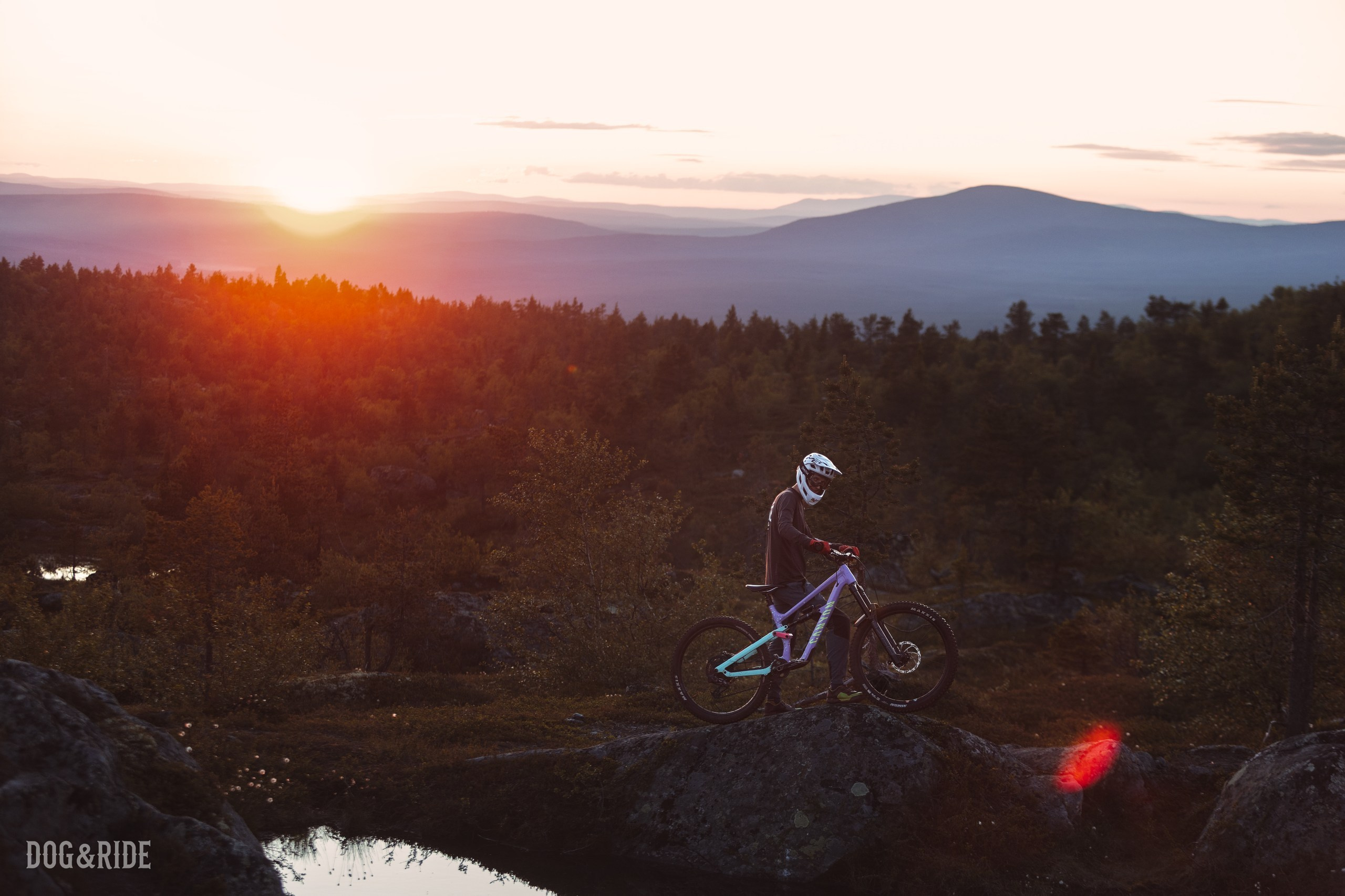 Кандалакшка. Фотограф анималист Никита Натальный