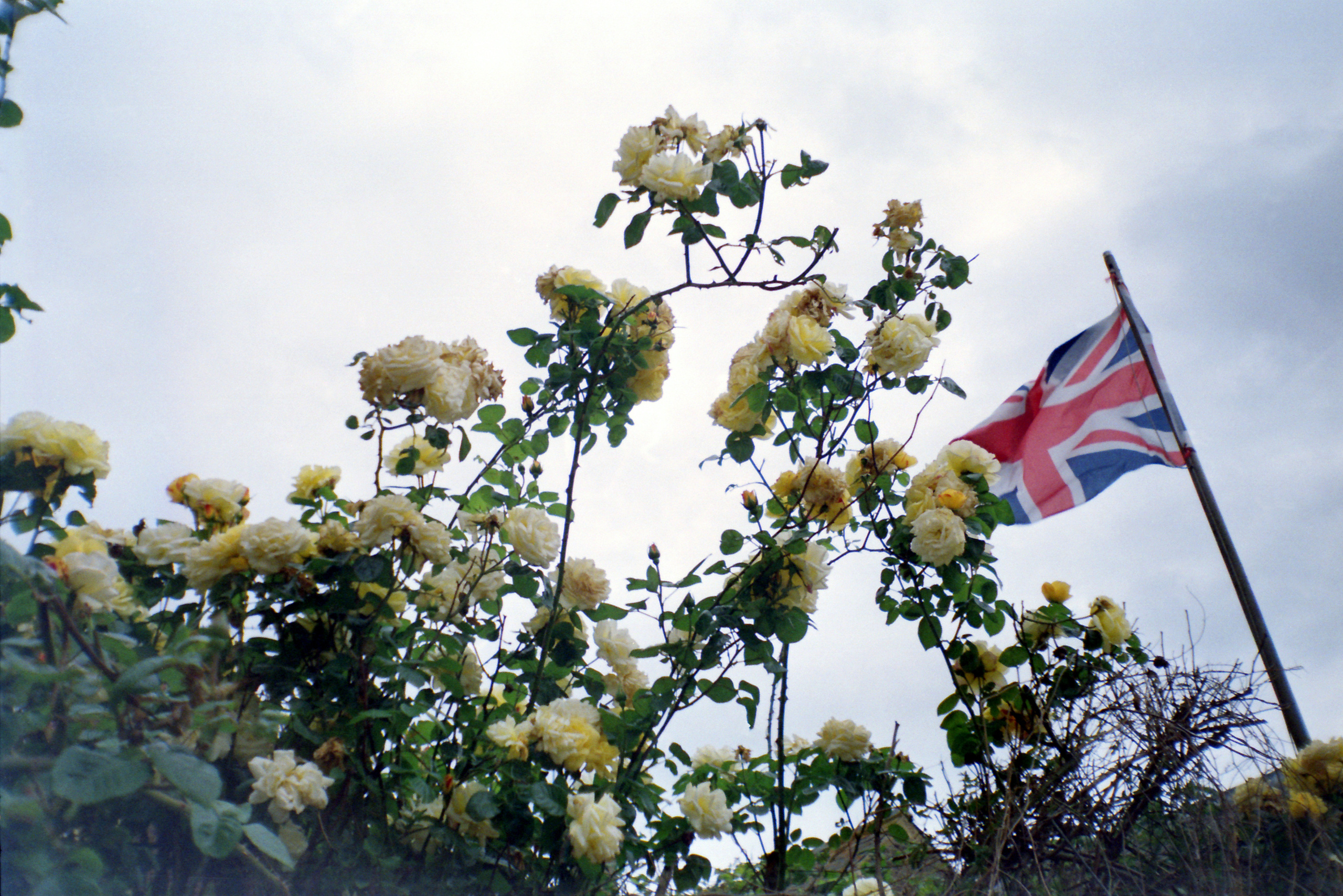 Потерпевшие кораблекрушение. Екатерина Васильева художник, куратор и преподаватель