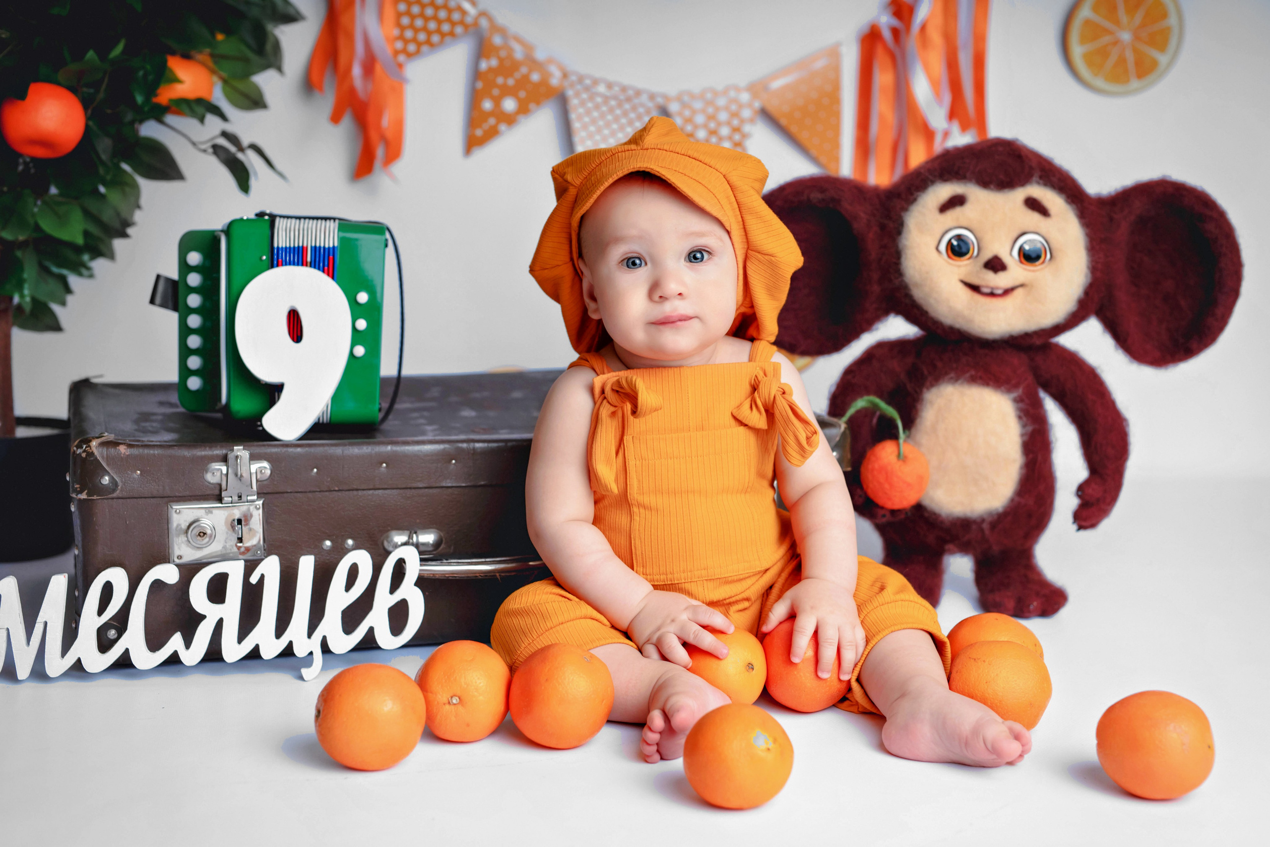 Апельсины. Фотограф Болотова Иветта