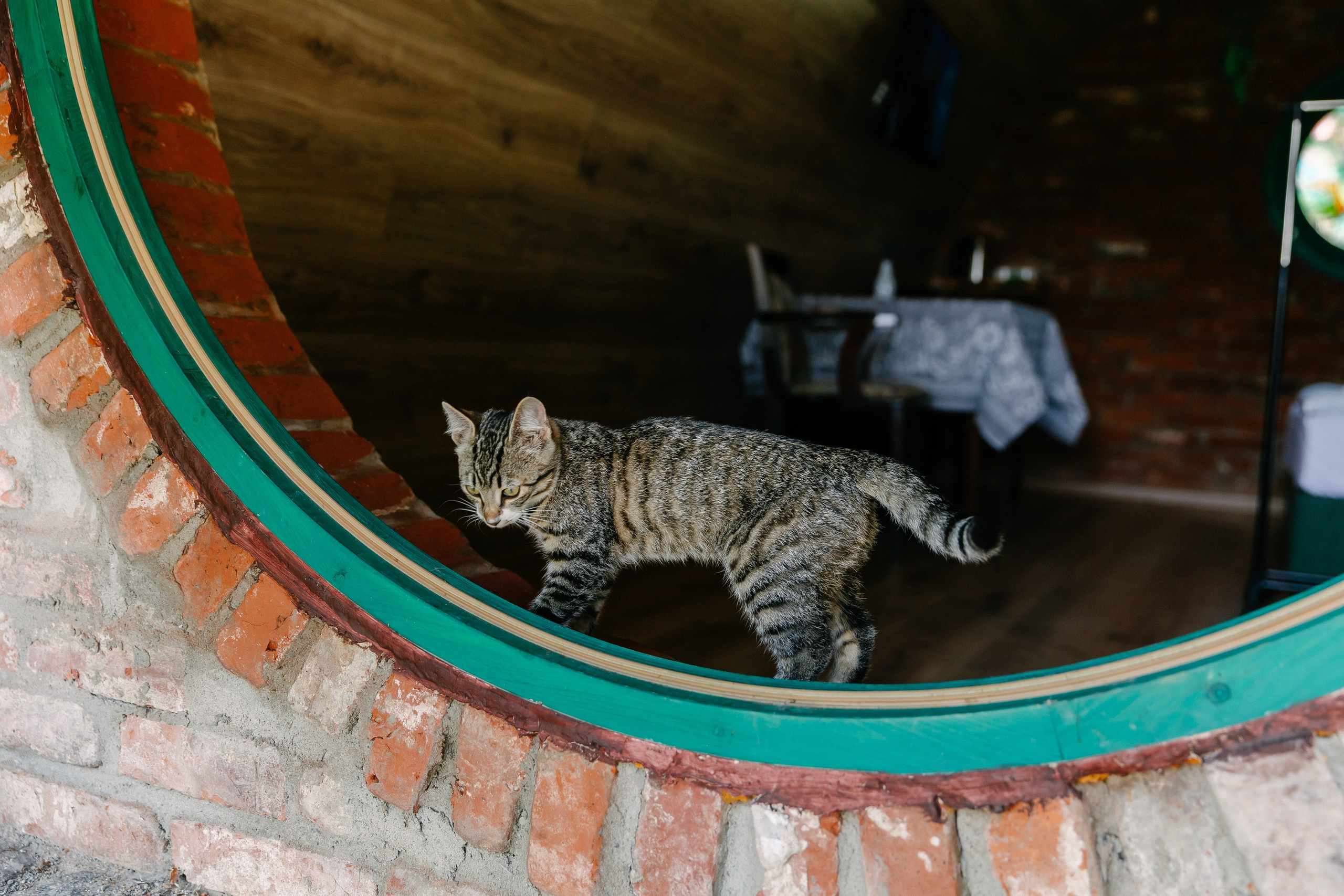 Съёмка объекта недвижимости Хутор Нёттникен. Свадебный, семейный и детский фотограф в Калининграде Елена Кравцова