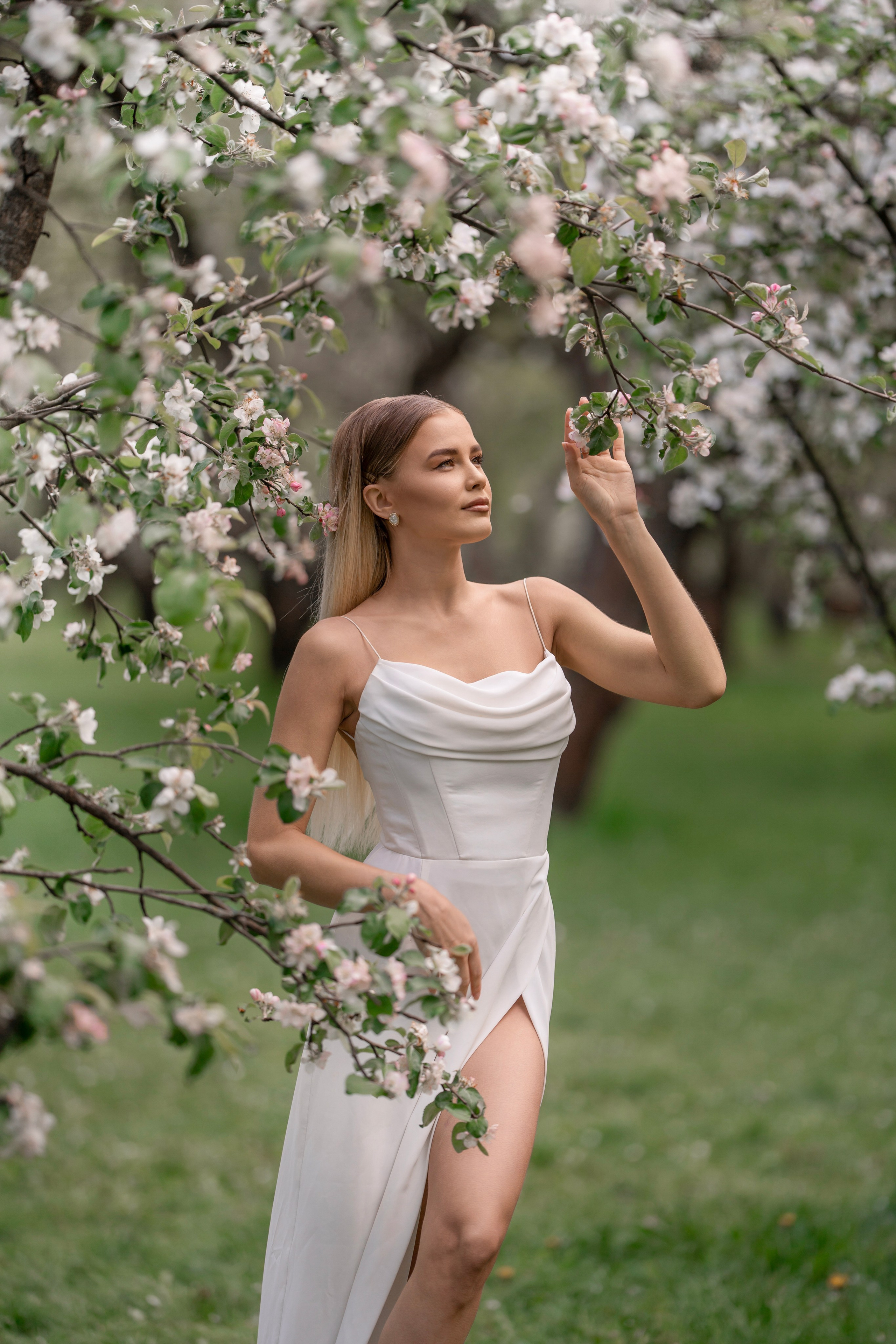 Цветение садов. Профессиональный фотограф в Москве Марина Григорьева