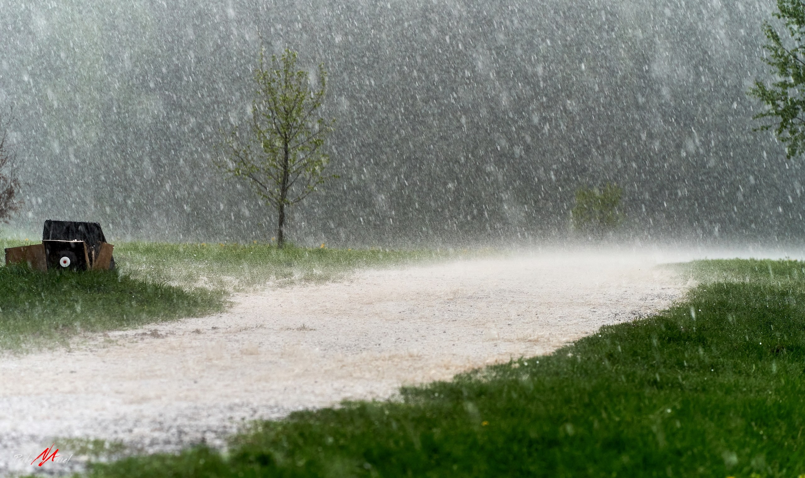 Огонь, Ветер, Вода, Земля — галерея NATRIEL