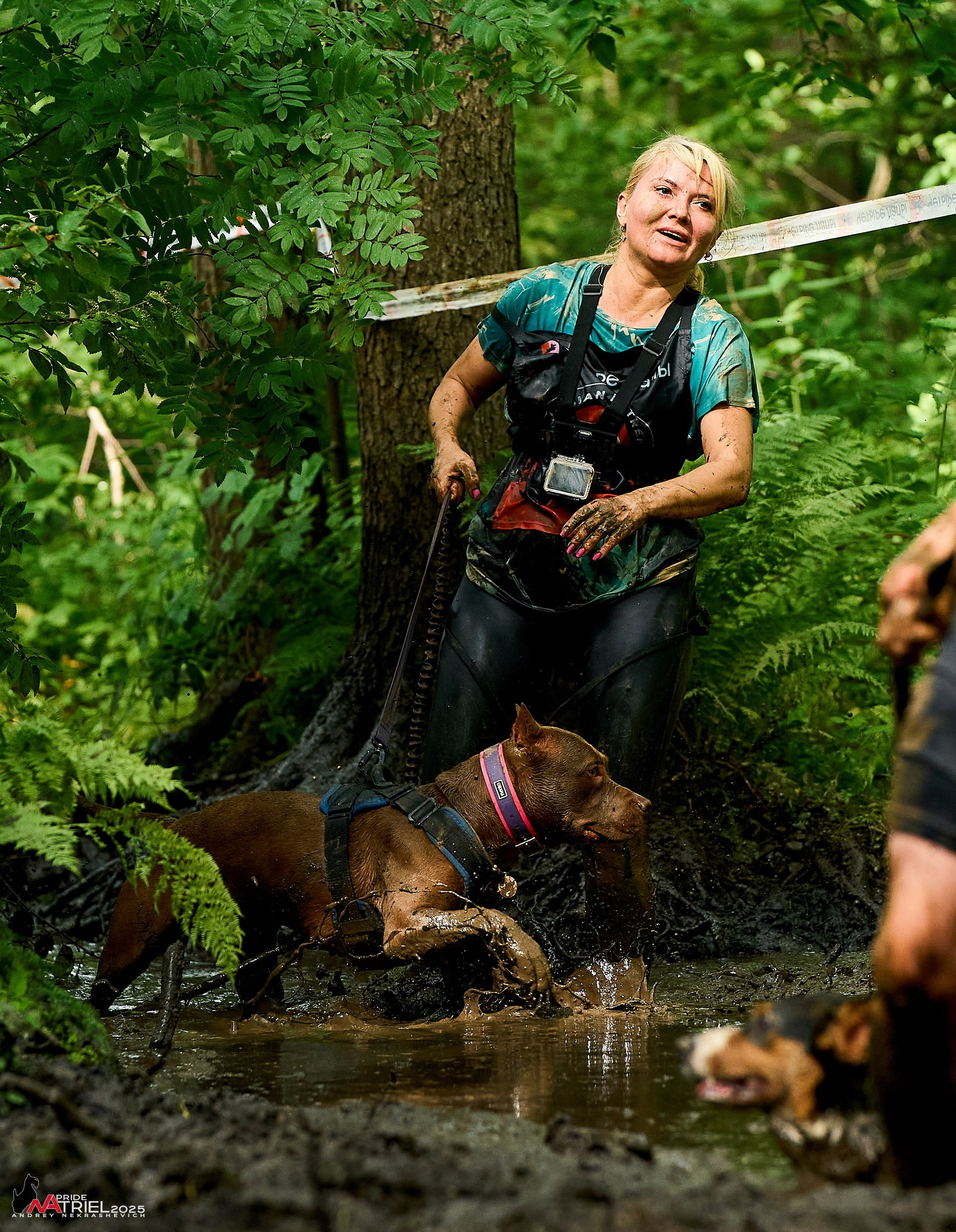 Russian Extreme Dog Trail — 2025