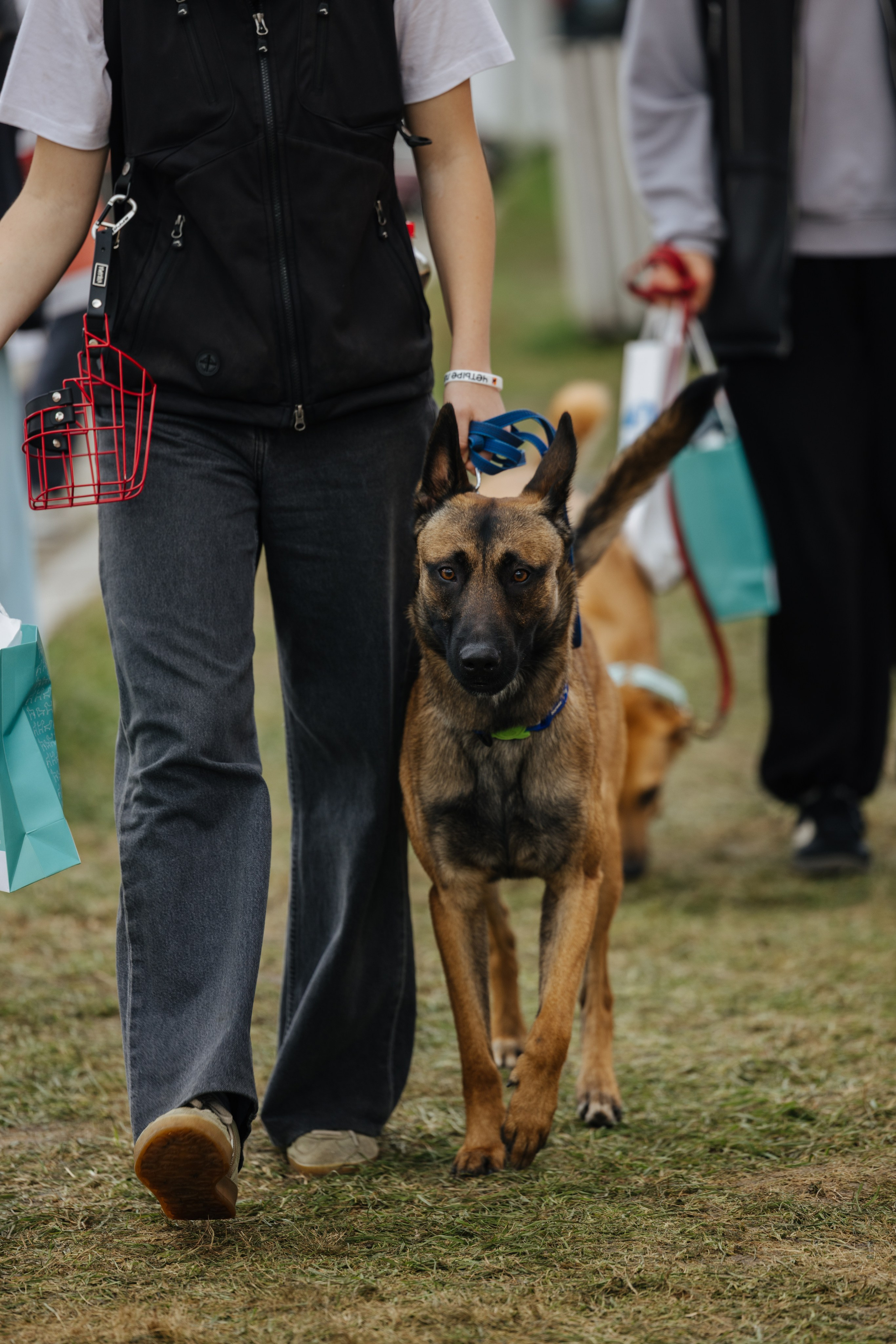 Хвостатый репортаж. Аксана Лисовская фотограф в Москве. Фотографии с характером
