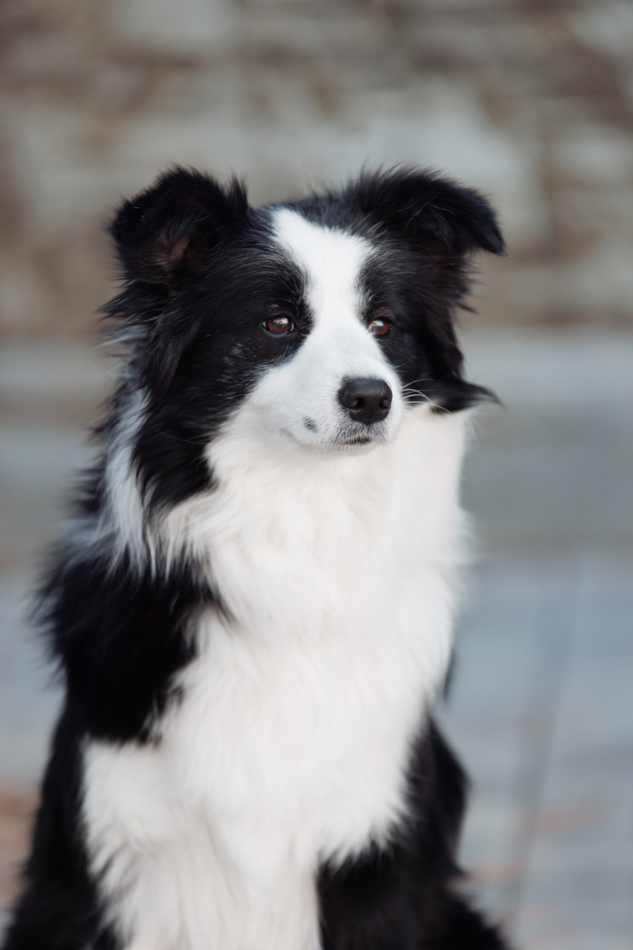 У дома с большой компанией от мала до велика. О нас