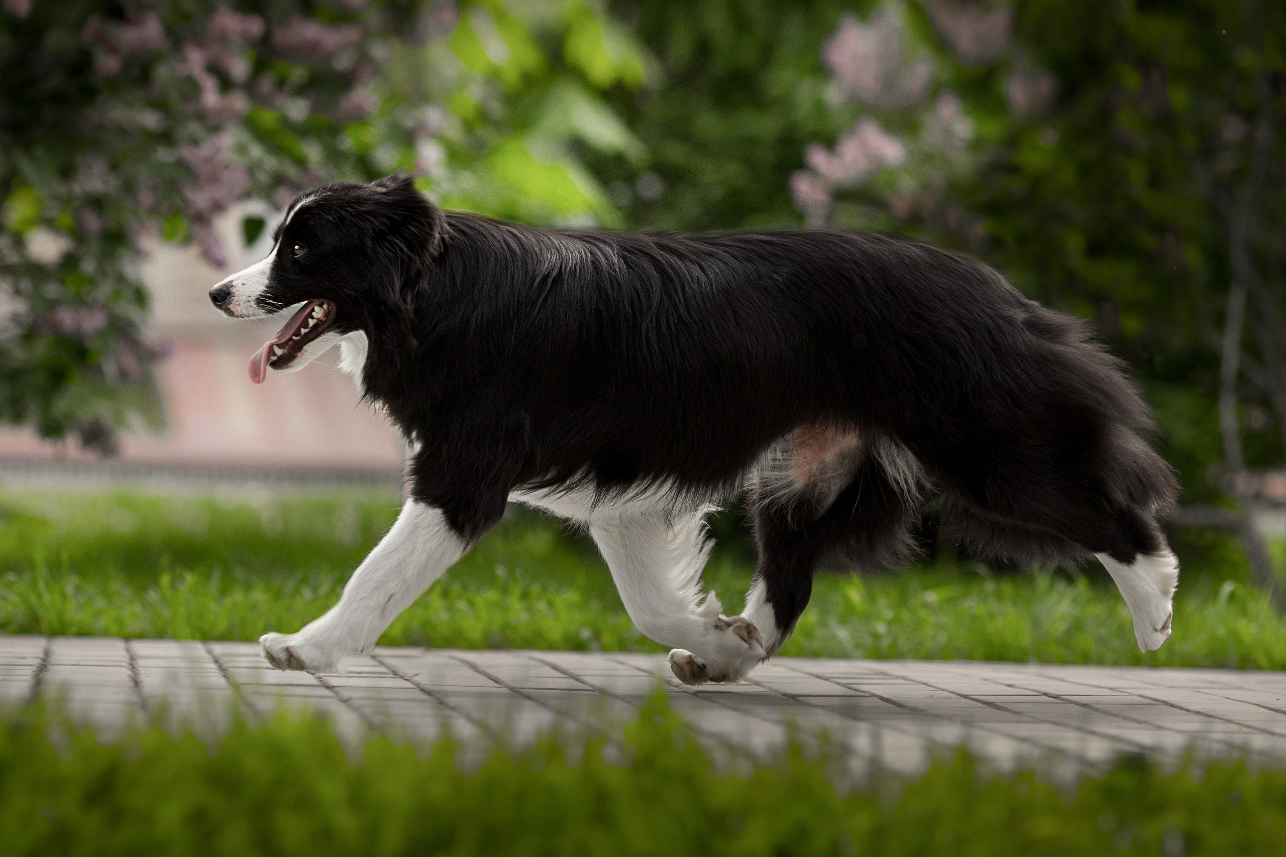 Роскошь в ростошах. О нас