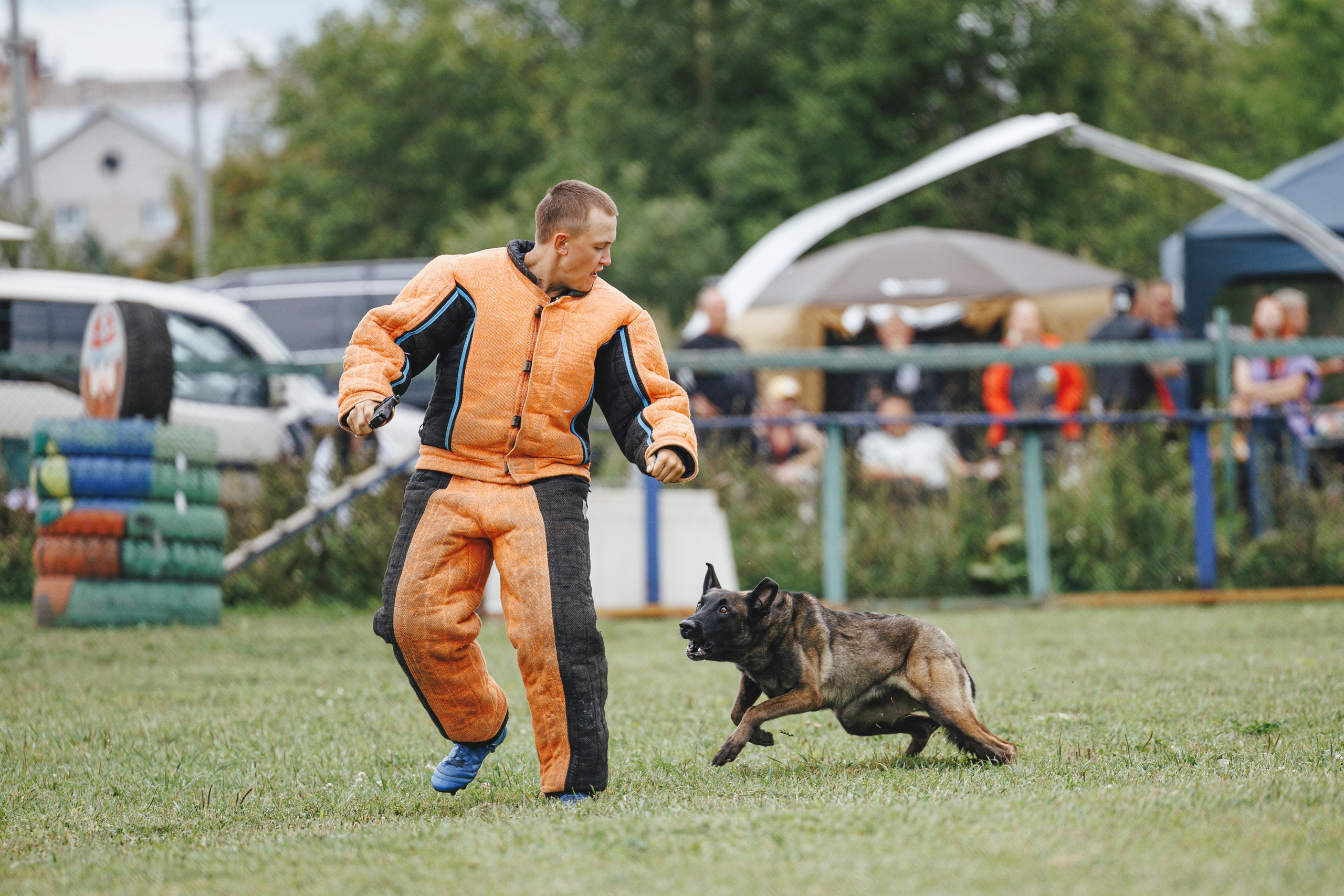08.08.25-10.08.25 ЧР по мондьорингу г. Вологда. Фотограф-анималист Анна Маринич
