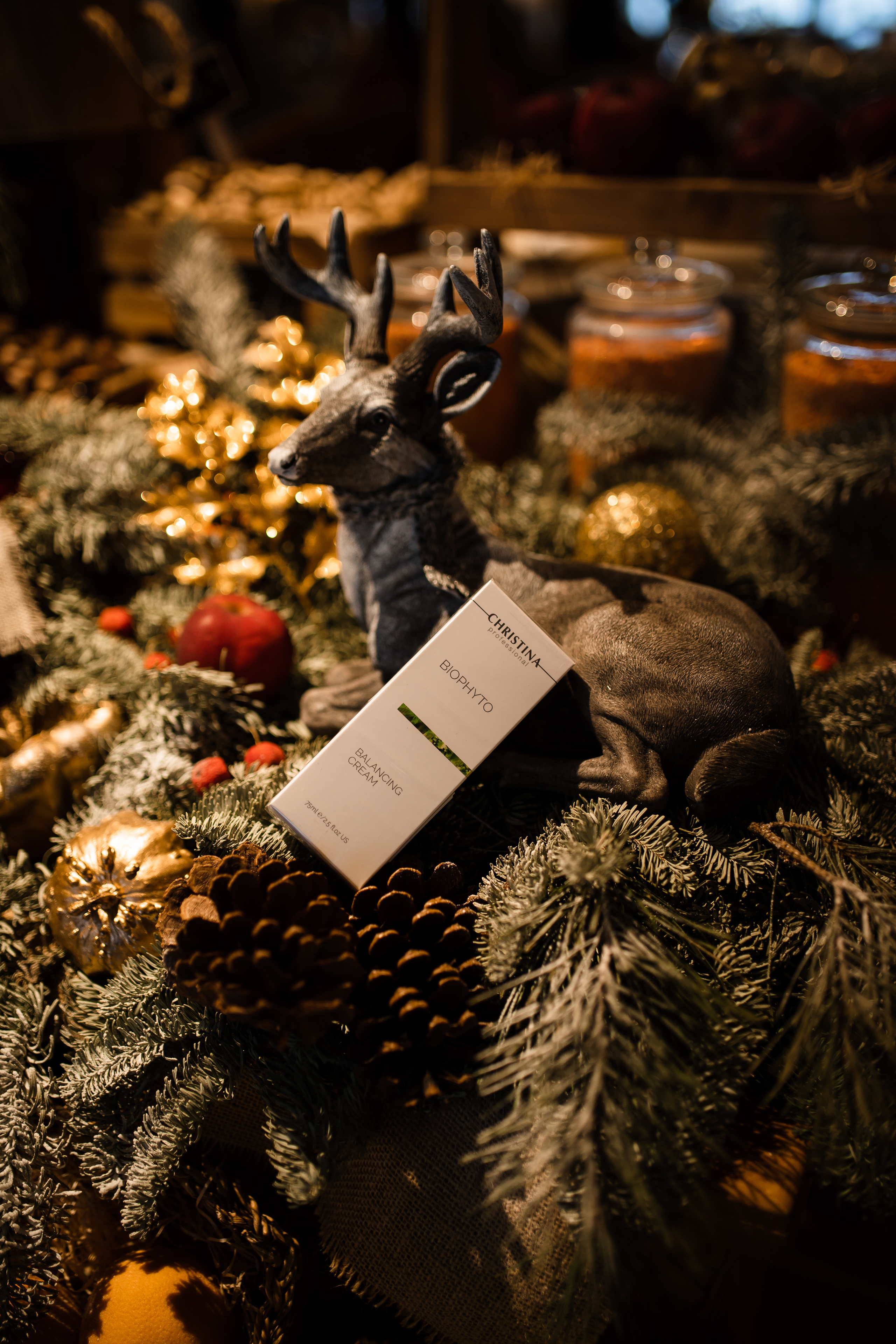 CHRISTINA & VESNA. Фотограф Москва