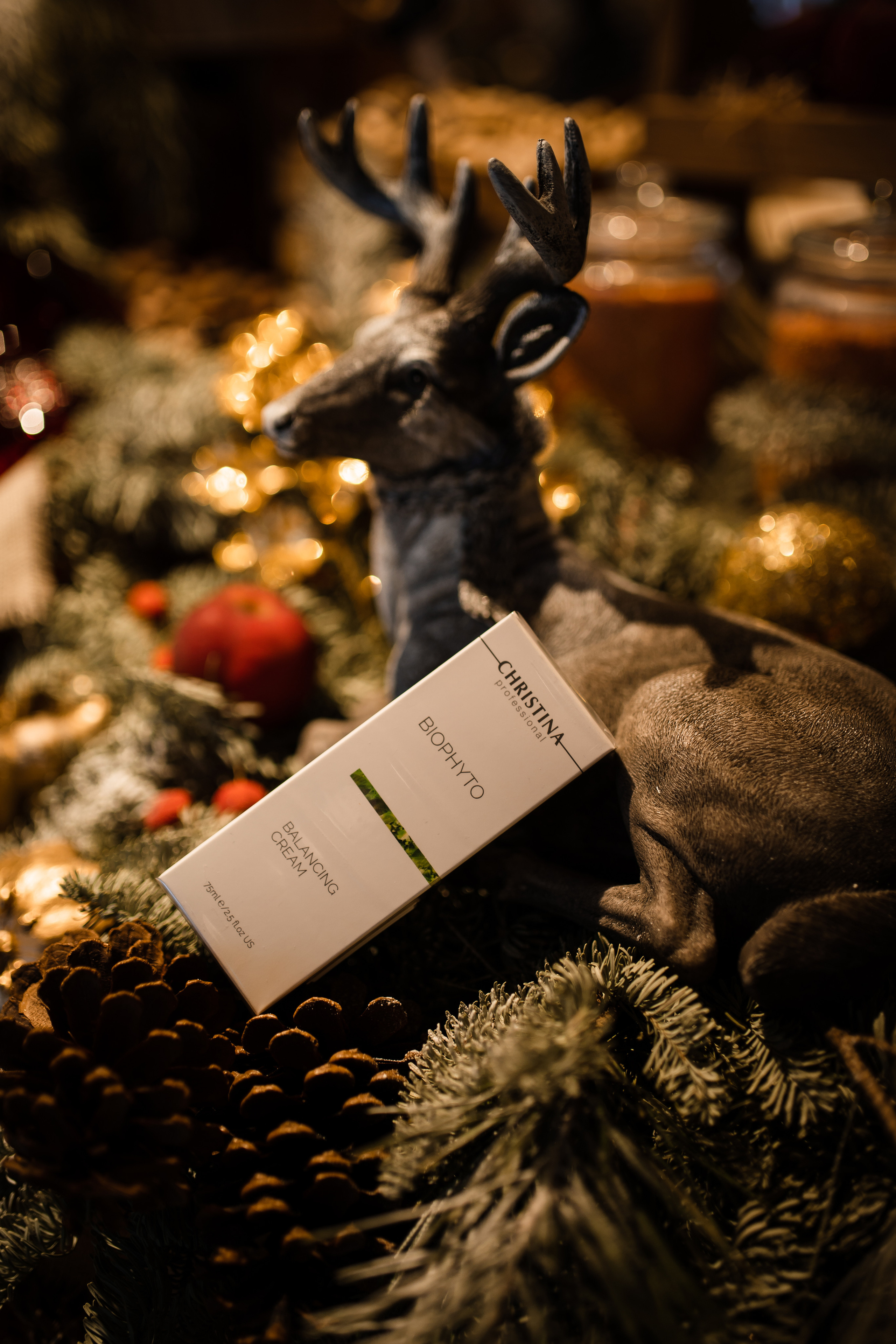 CHRISTINA & VESNA. Фотограф Москва