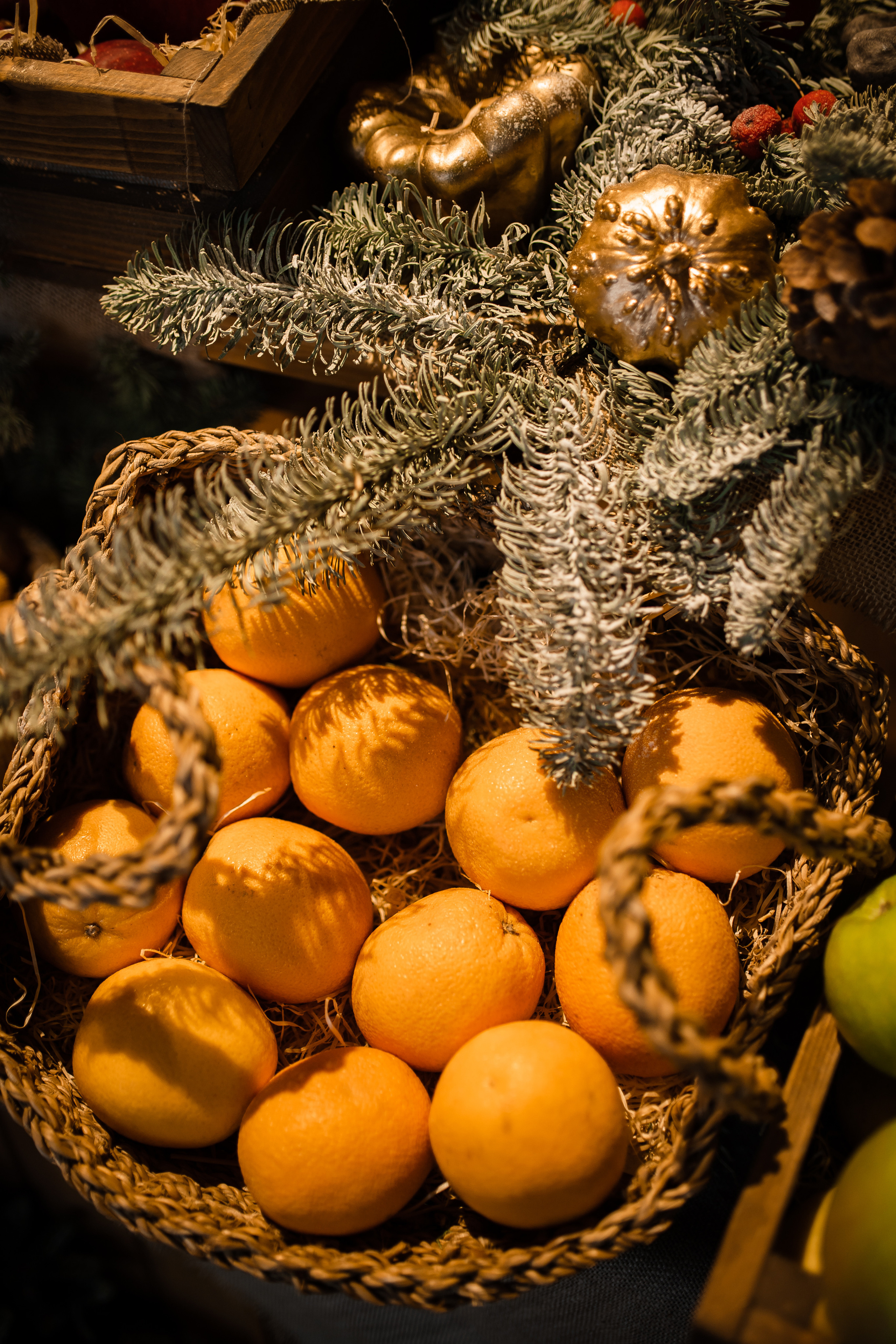 CHRISTINA & VESNA. Фотограф Москва