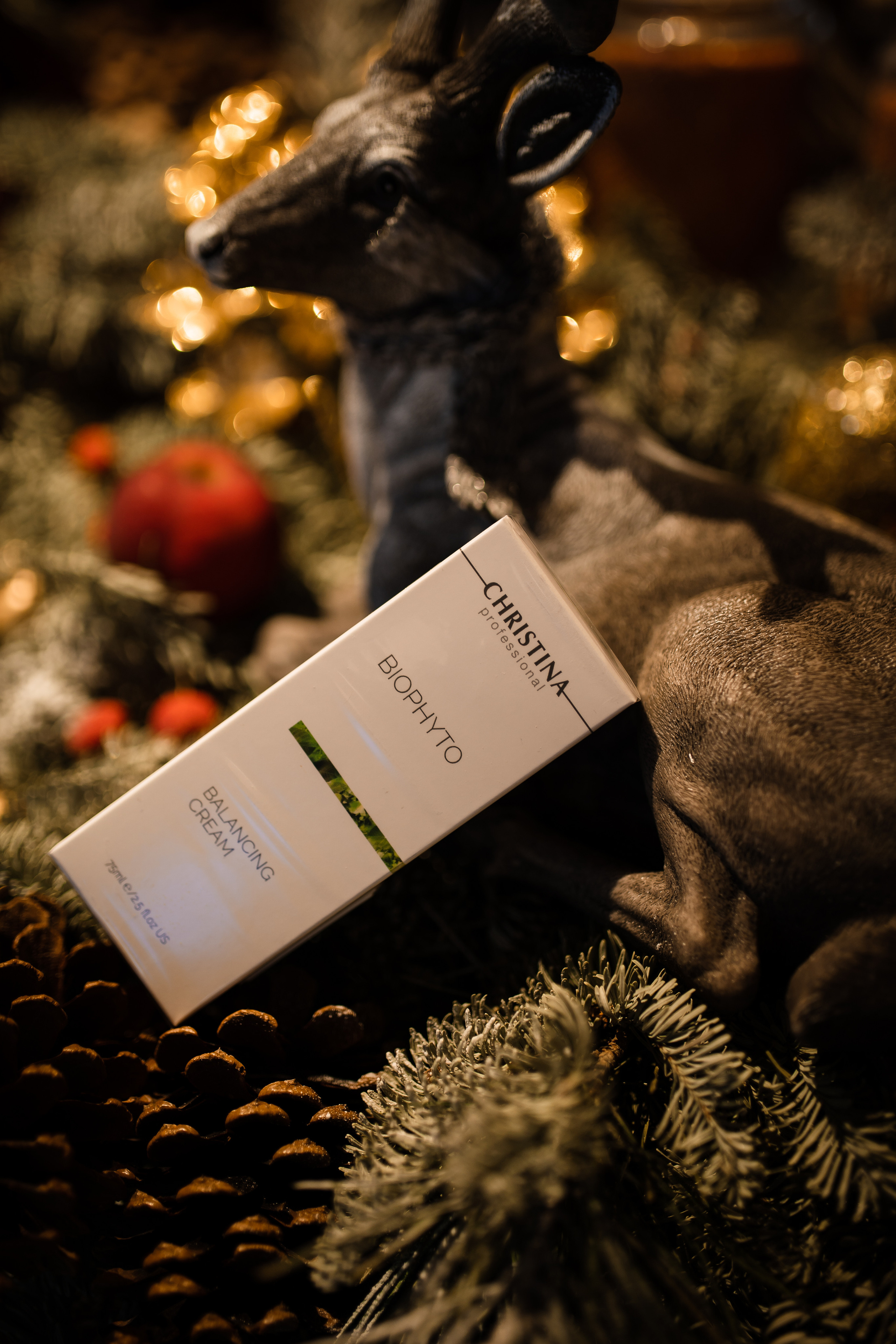 CHRISTINA & VESNA. Фотограф Москва