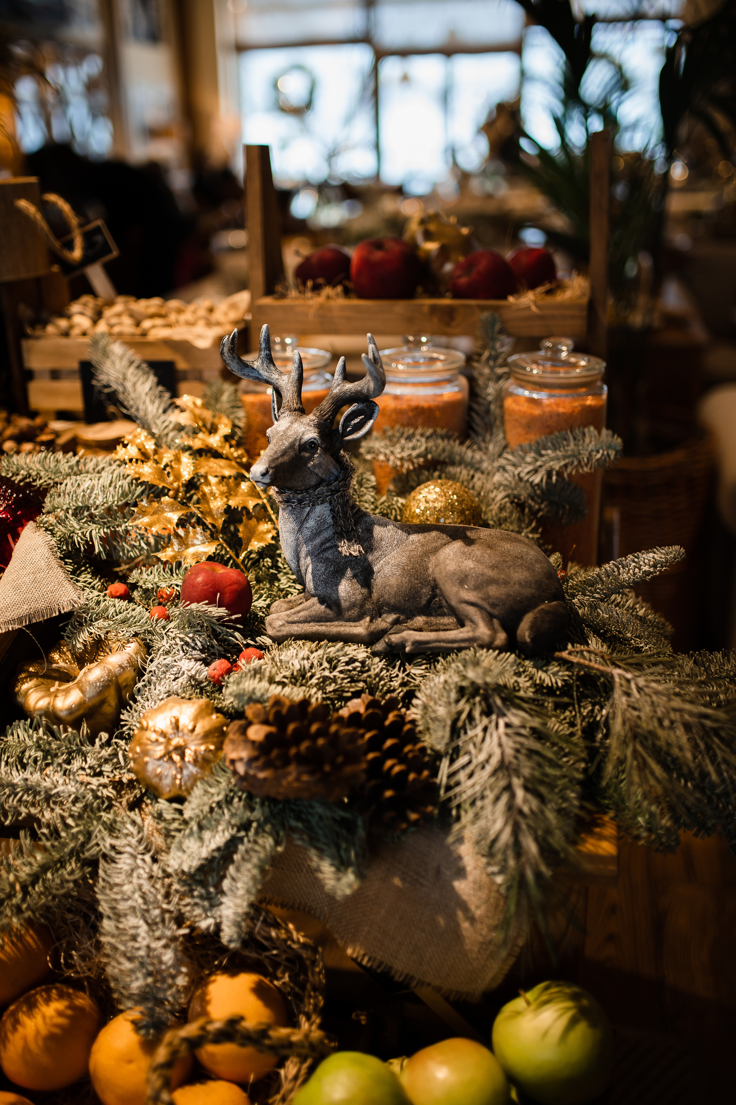 CHRISTINA & VESNA. Фотограф Москва