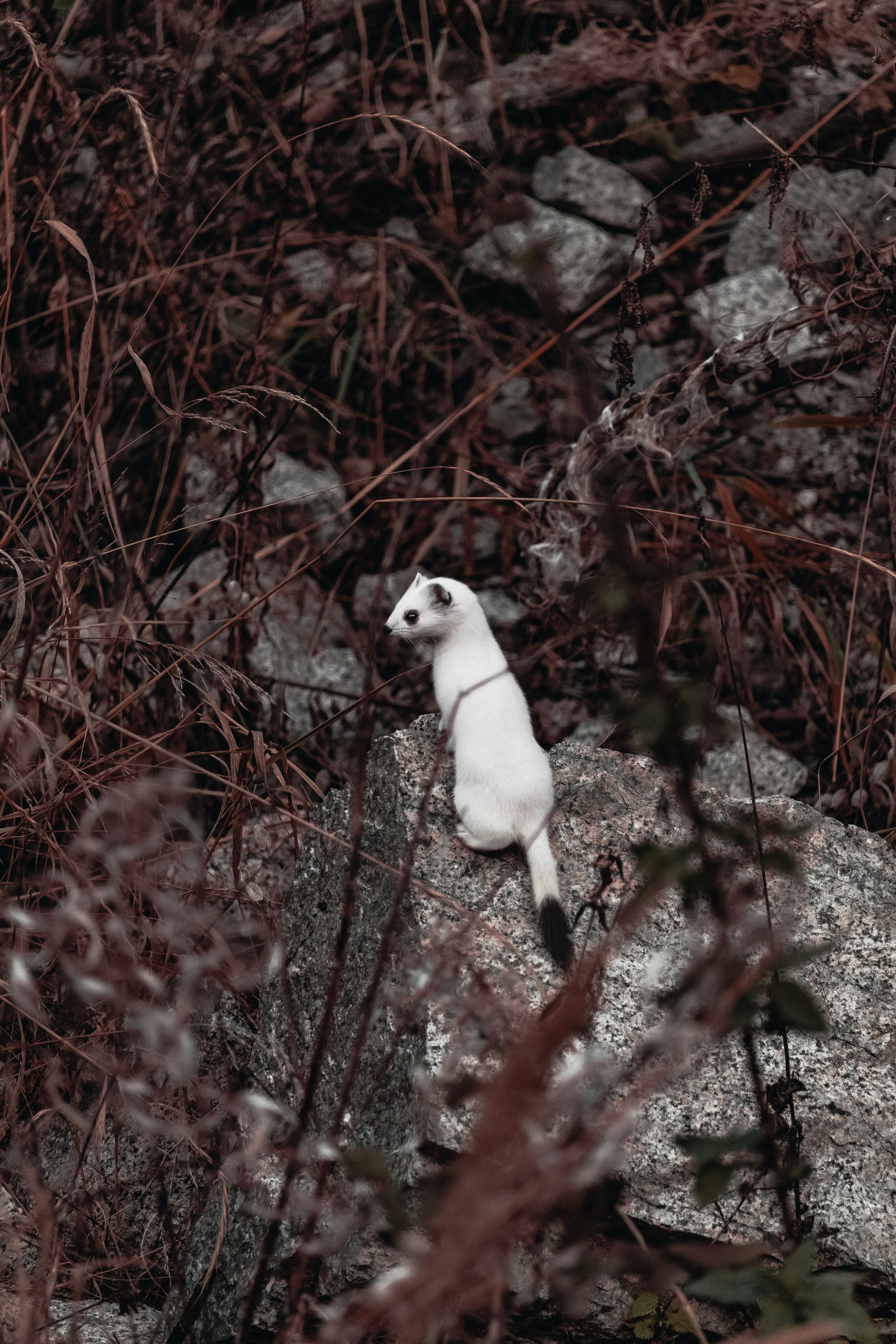 Жизнь. Фотограф Алматы | Весь мир — Никита Колодин