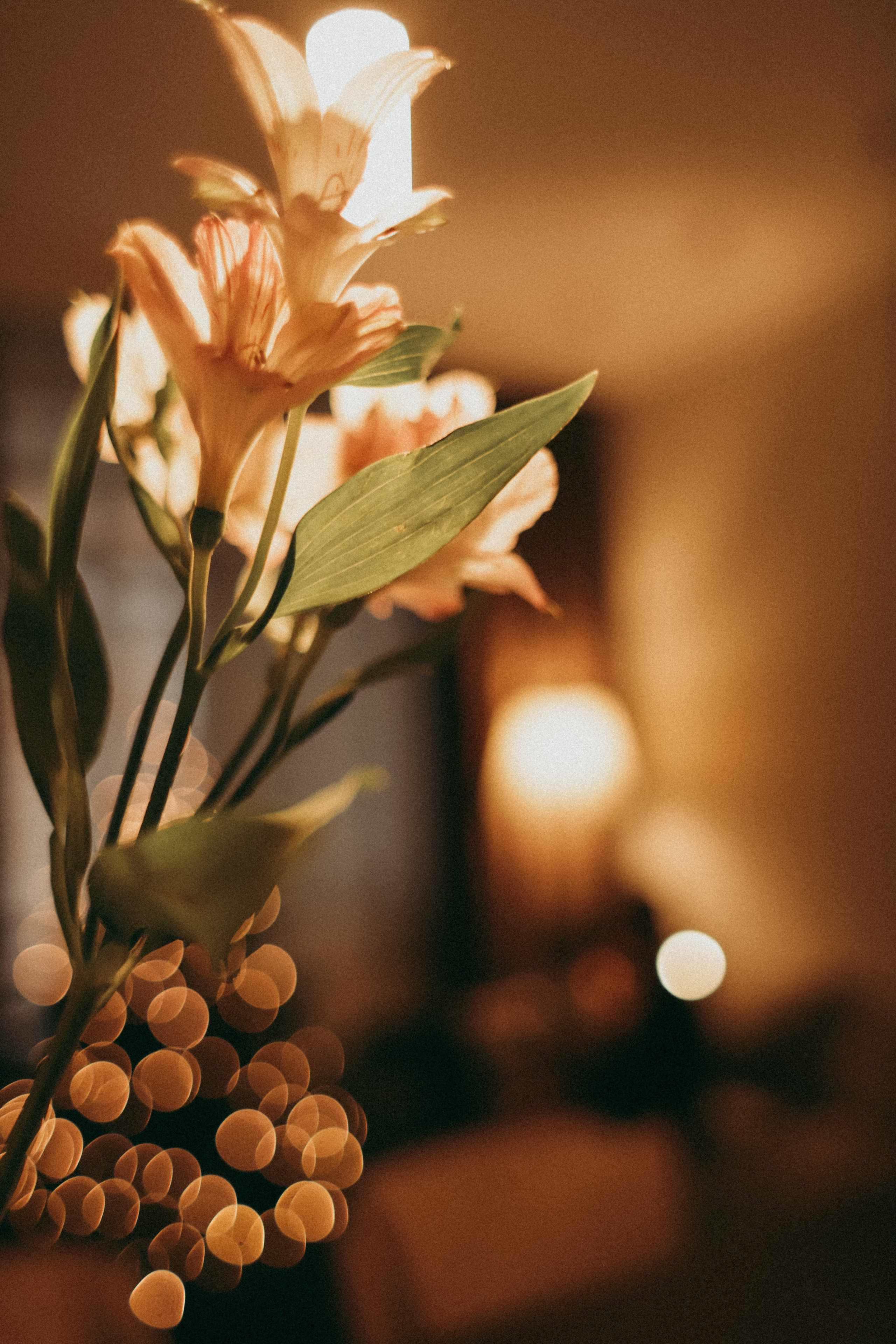 Натали и Стеша. Фотограф Москва и Санкт-Петербург