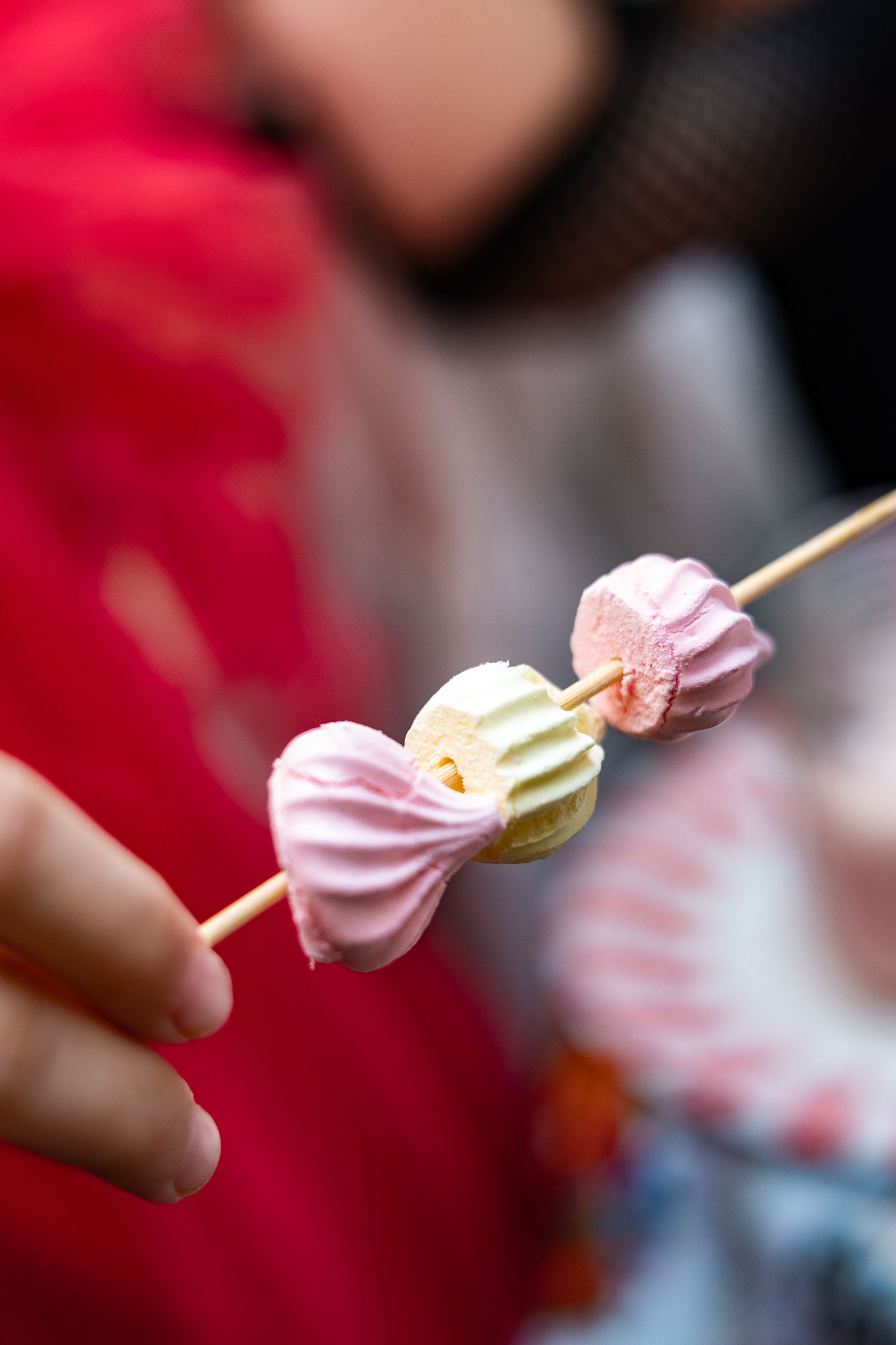 Новый год в школе английского языка. Фотограф/видеограф в Санкт-Петербурге Динара Гольдина