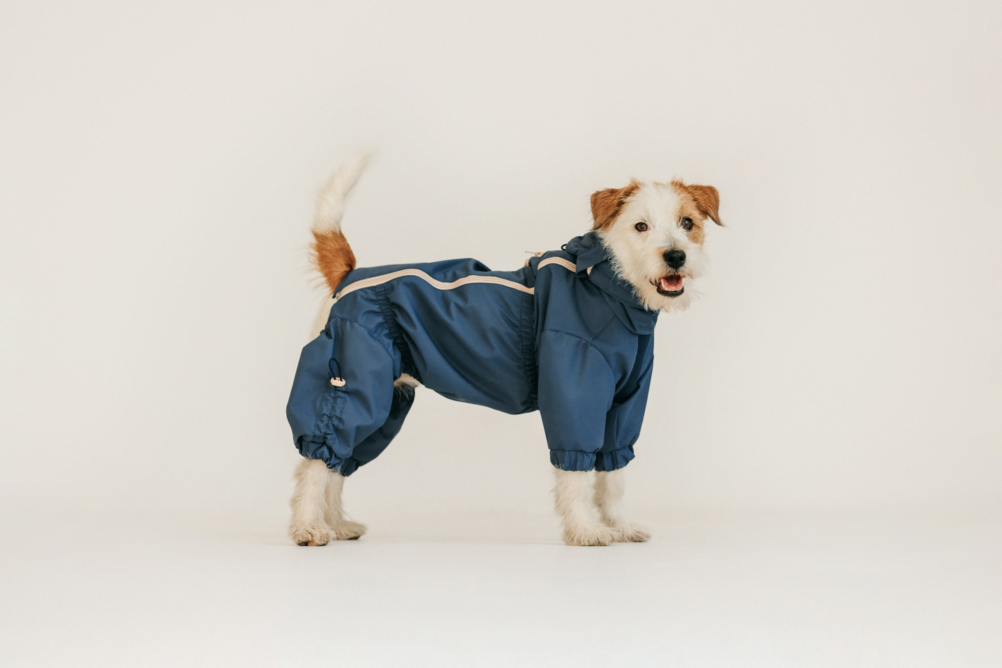 Одежда Lapa`s brand. Фотограф-анималист Елена Радченко, Москва