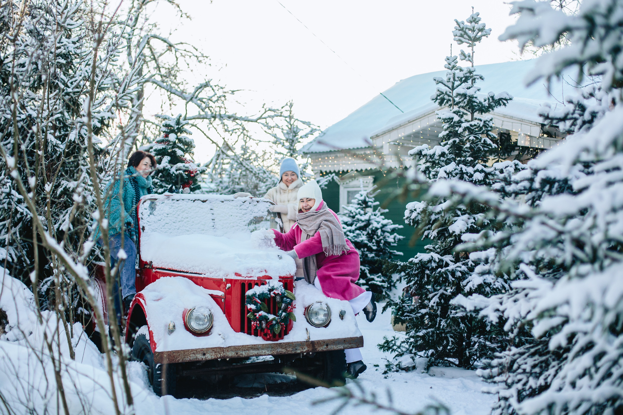 Зингер дача. Фотограф-анималист Татьяна Степанова