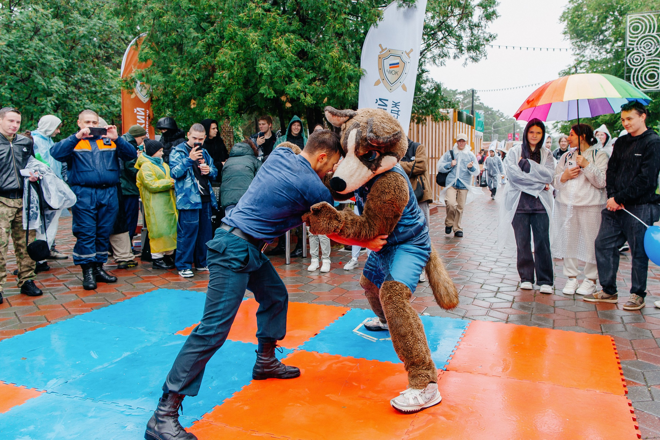 Молфест 2024. Главная