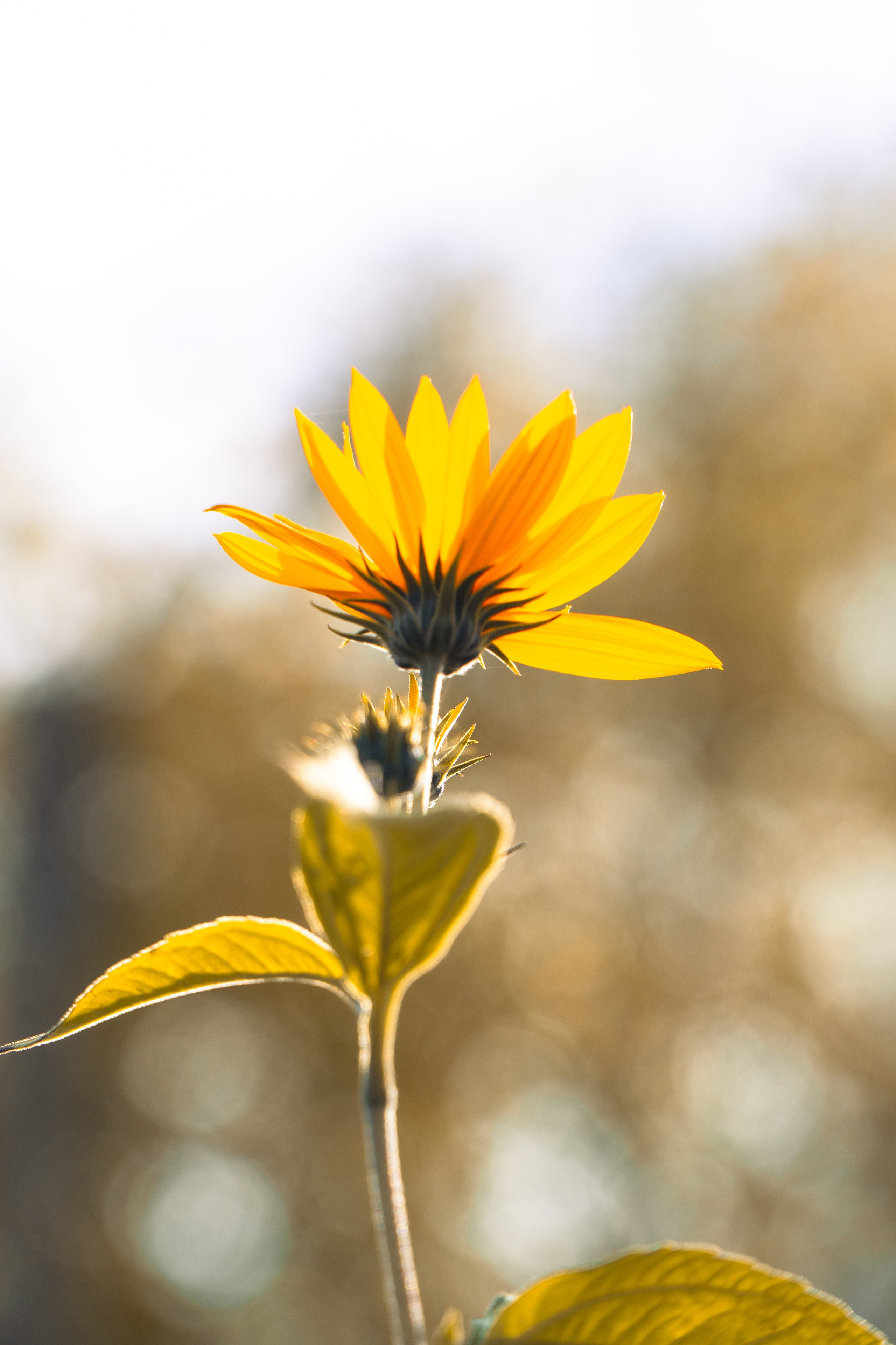 5 вёрст Наташинский 4 октября 2025. Роман Капилюшов. Бег. Фото. Видео. г. Люберцы