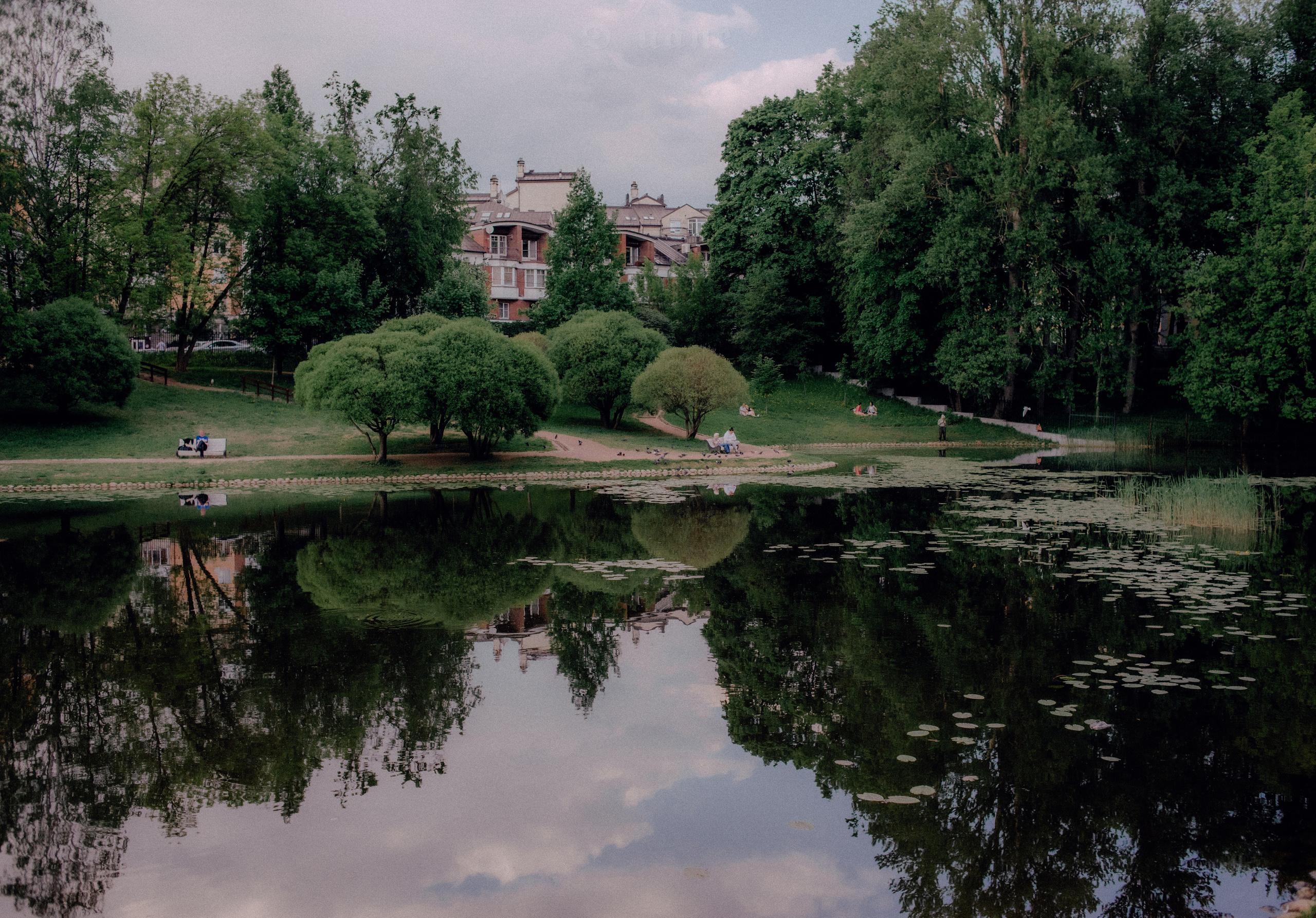 Пейзаж. Фотограф в Санкт-Петербурге. Диана Шкутова