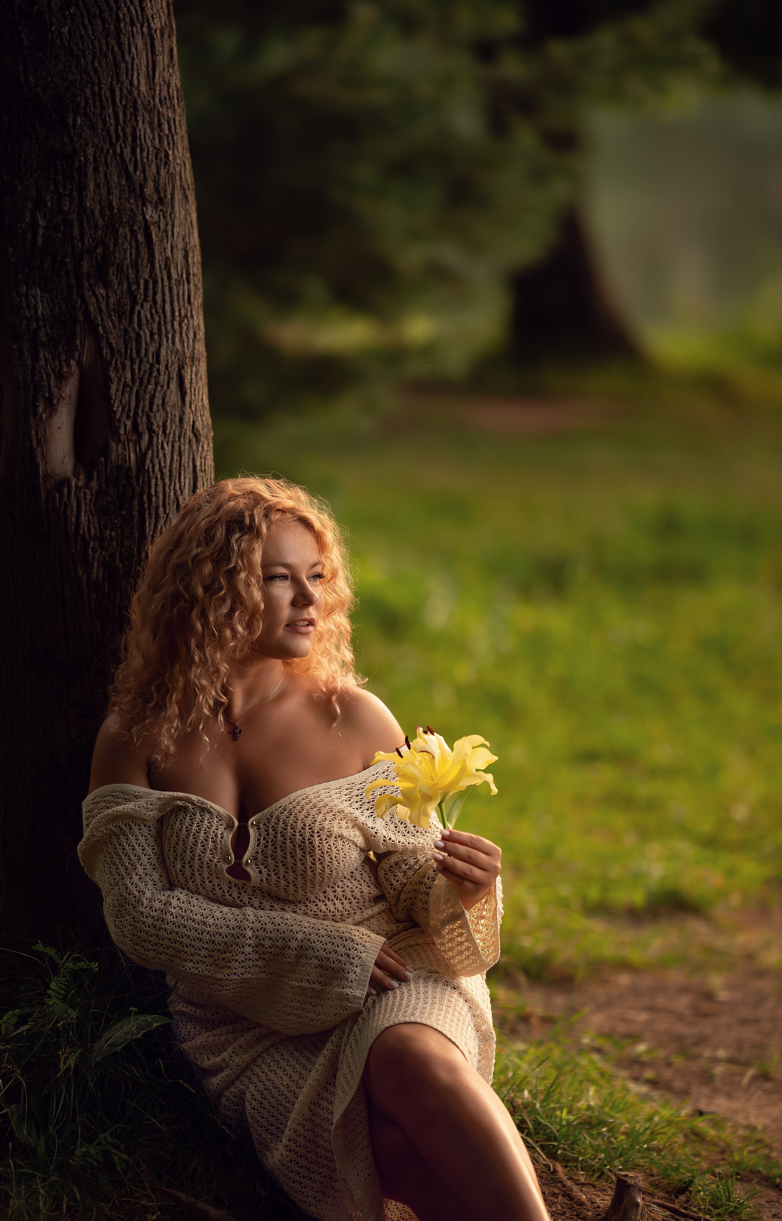 Рассветы...... Главная