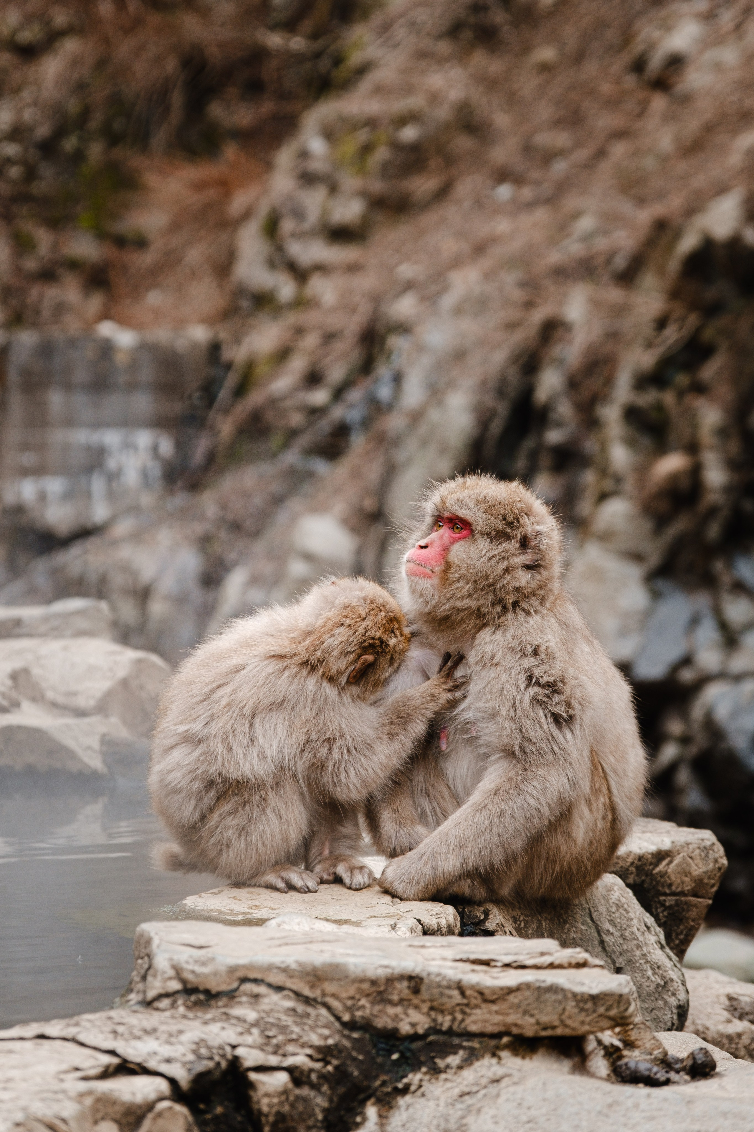 Невероятная Япония: Сезон Цветение Сакуры. Свадебный и Студийный фотограф из Казахстана Артем Орлянский