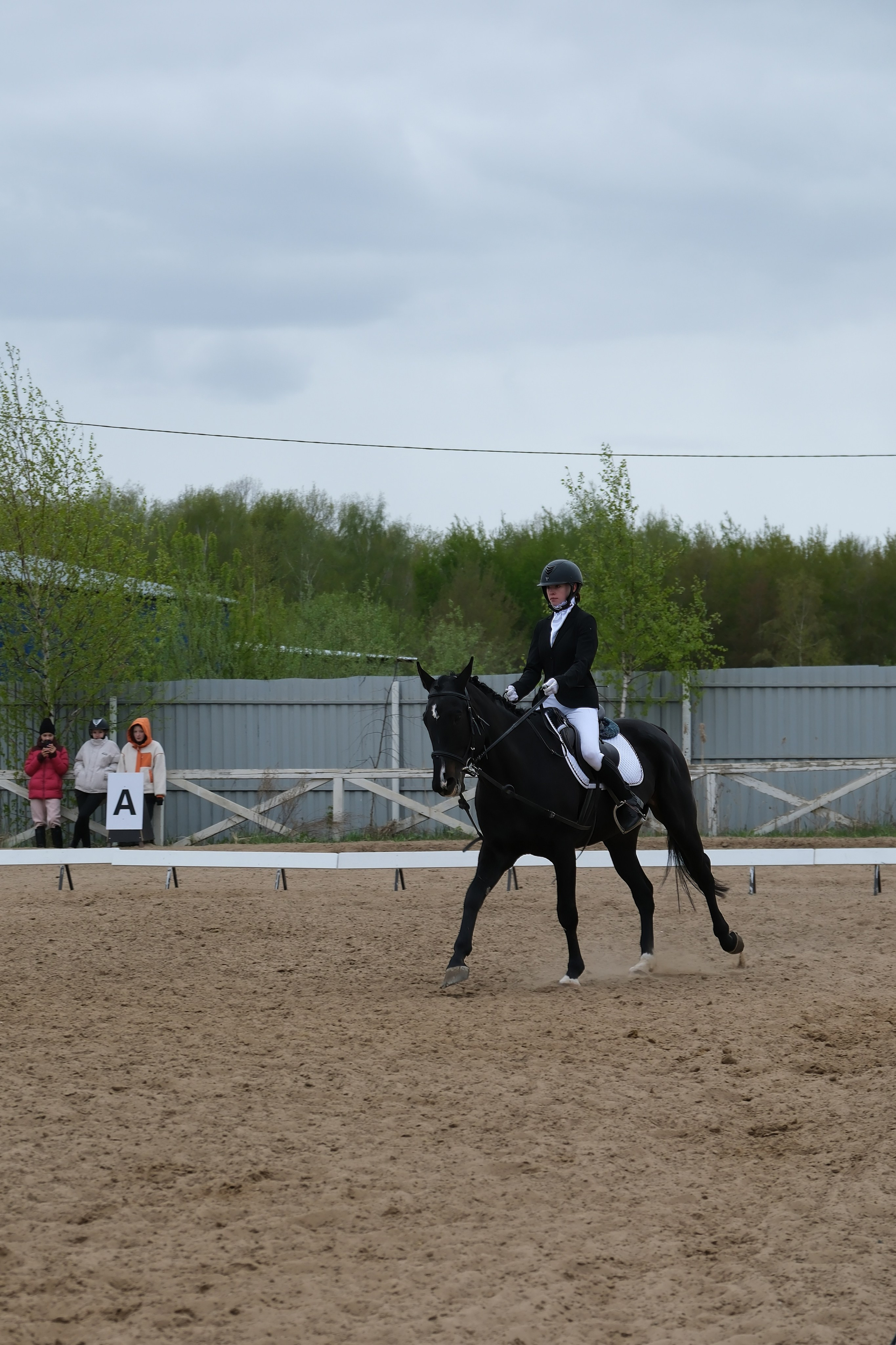Соревнования по конному спорту в КСК «АЛЛЮР»!. Добро пожаловать в студию «Цифровой скульптор»  где искусство встречается с технологиями!