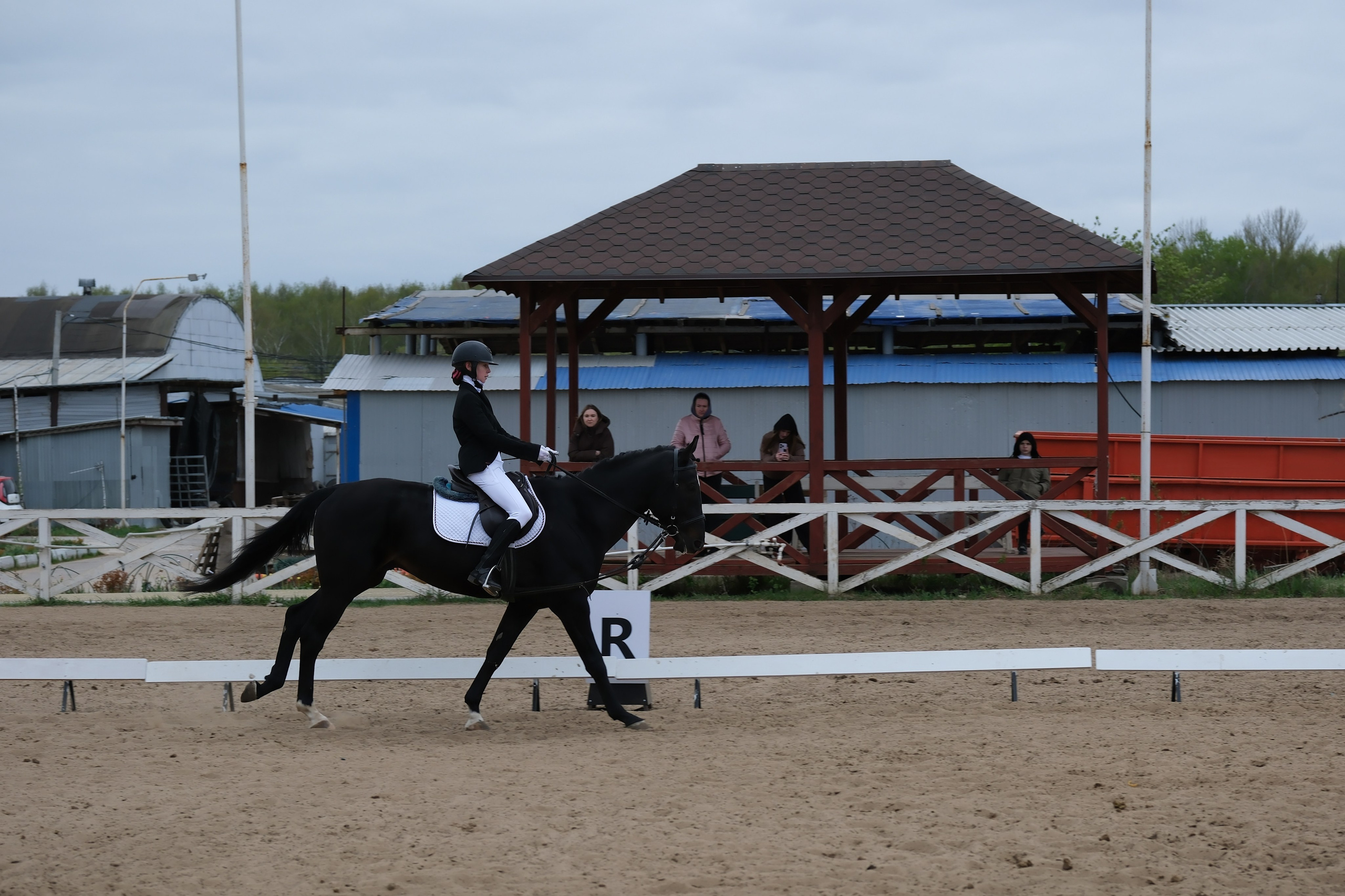 Соревнования по конному спорту в КСК «АЛЛЮР»!. Добро пожаловать в студию «Цифровой скульптор»  где искусство встречается с технологиями!