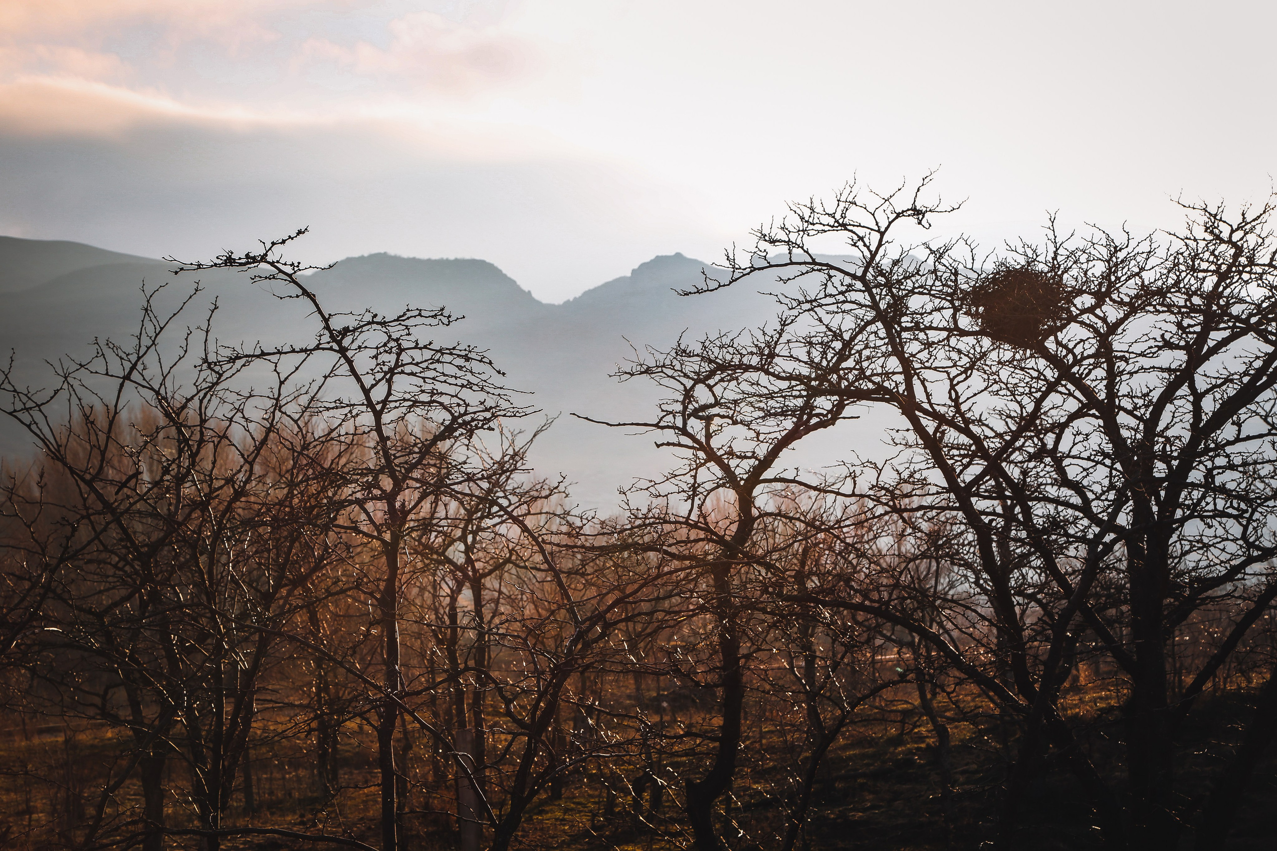 Кавказ: многоликий Дагестан. Дарья Письменюк / Darya Leitstern — фотограф, музыкант, журналист, путешественник