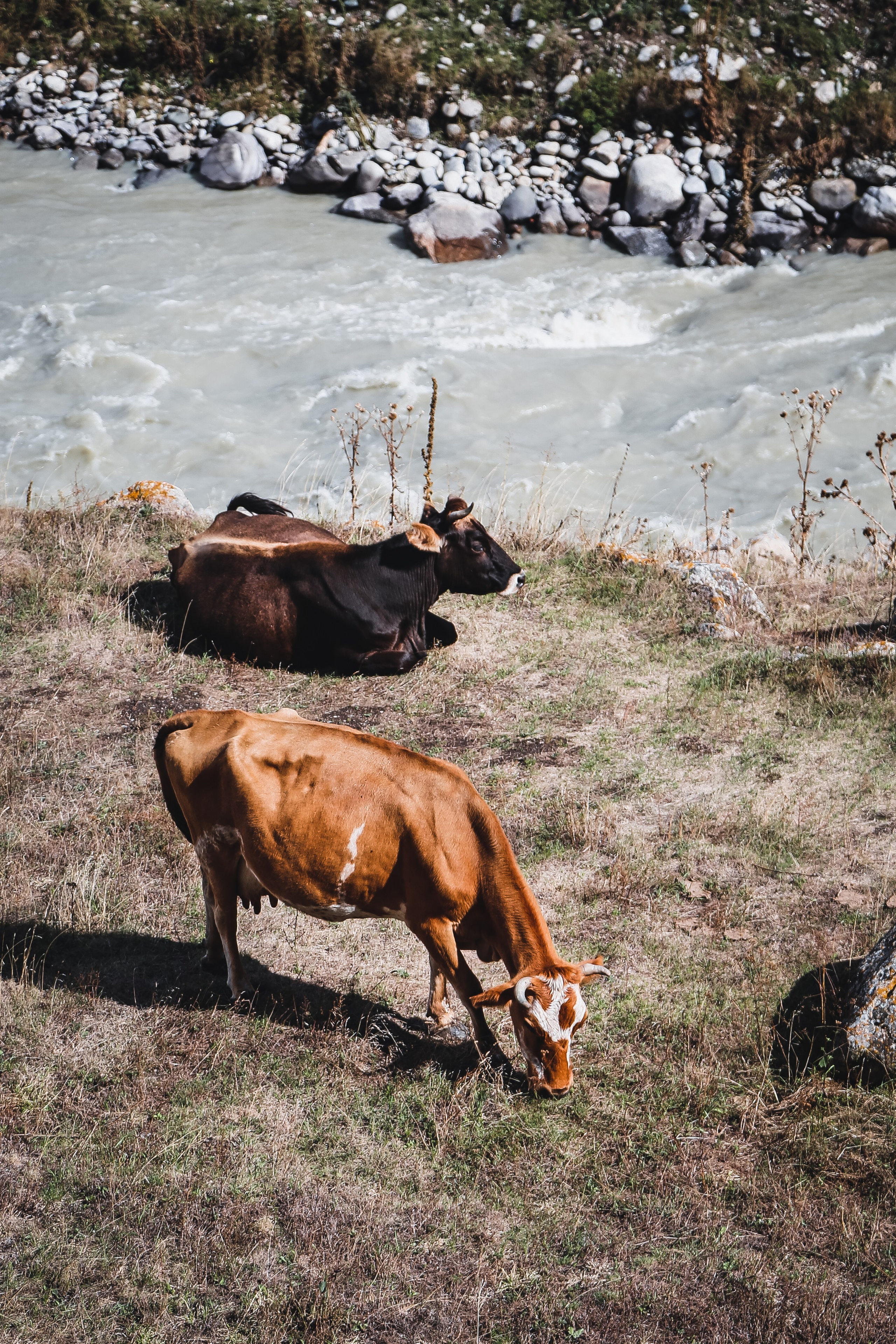 Кавказ: Кабарда vs. Балкария. Дарья Письменюк / Darya Leitstern — фотограф, музыкант, журналист, путешественник