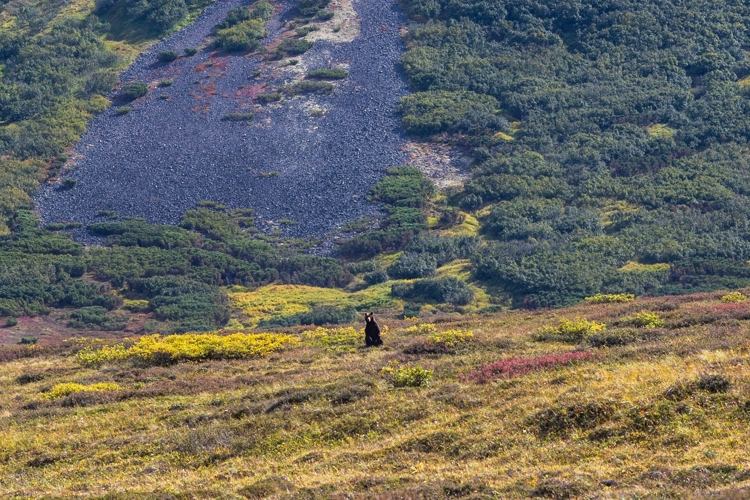 Камчатка. Тревел-фотограф Олег Гуров