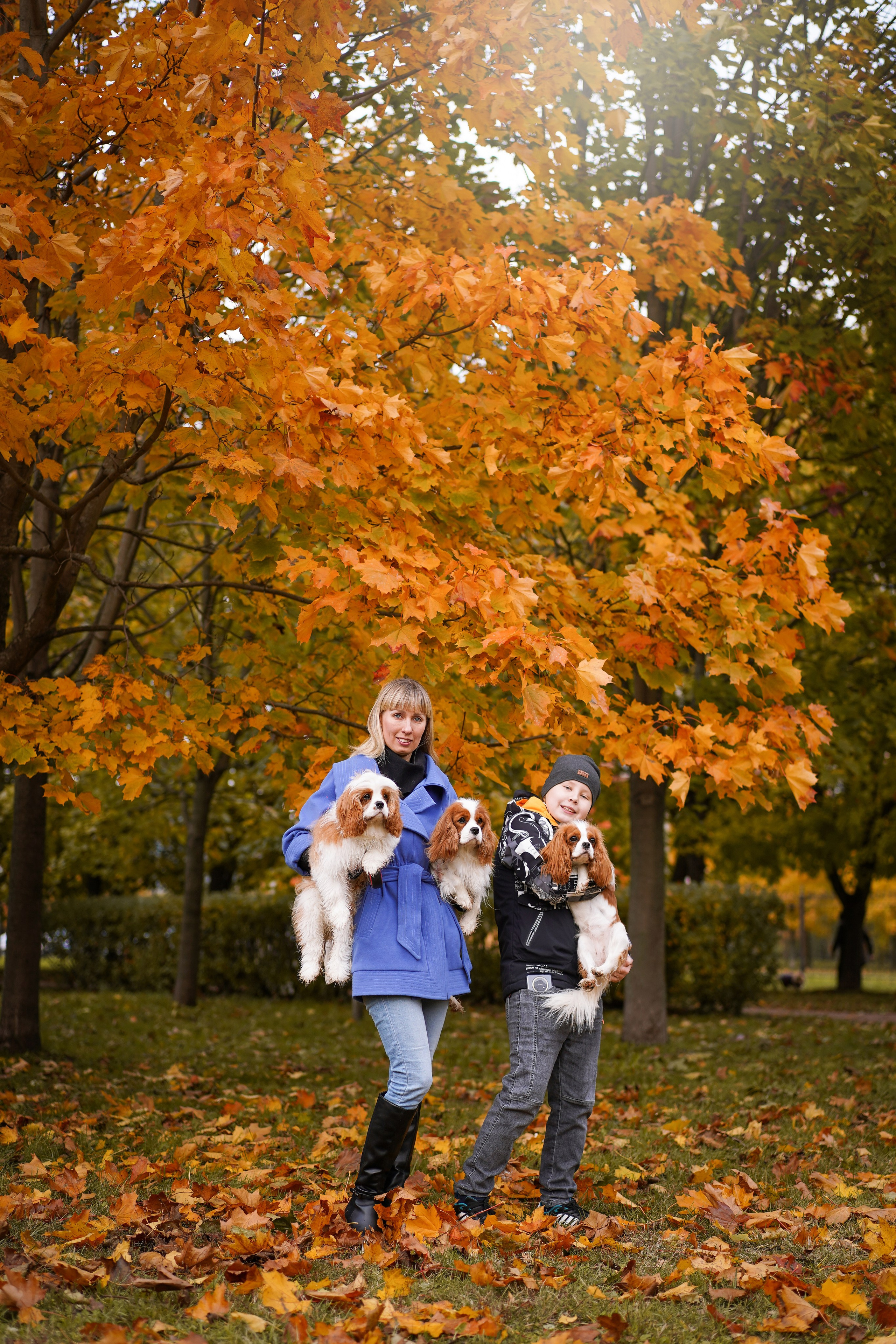 Катя Валера Саша и кавалерчики. Фотограф-анималист в Санкт-Петербурге Яна Мартынова