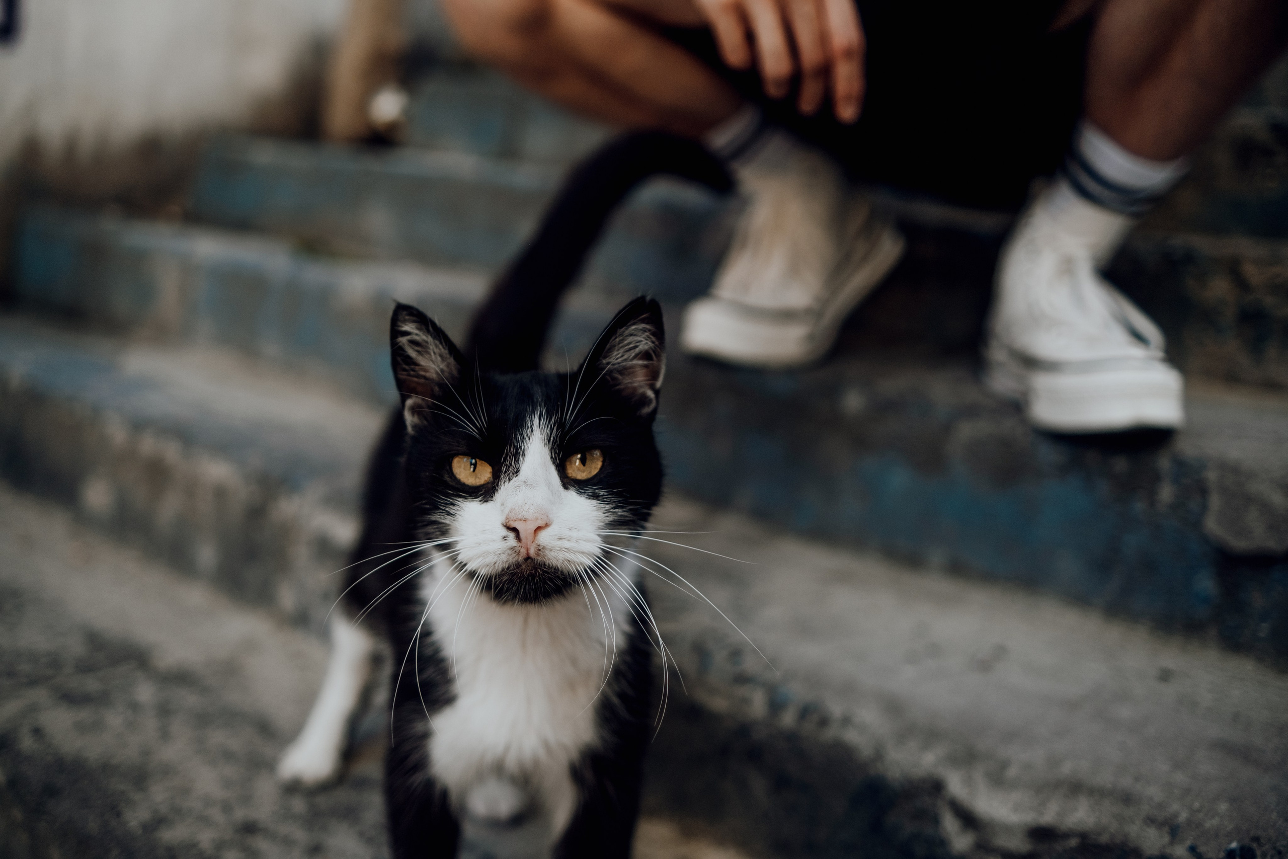 Женя. Фотограф Валентина Кондрасюк в Санкт-Петербурге
