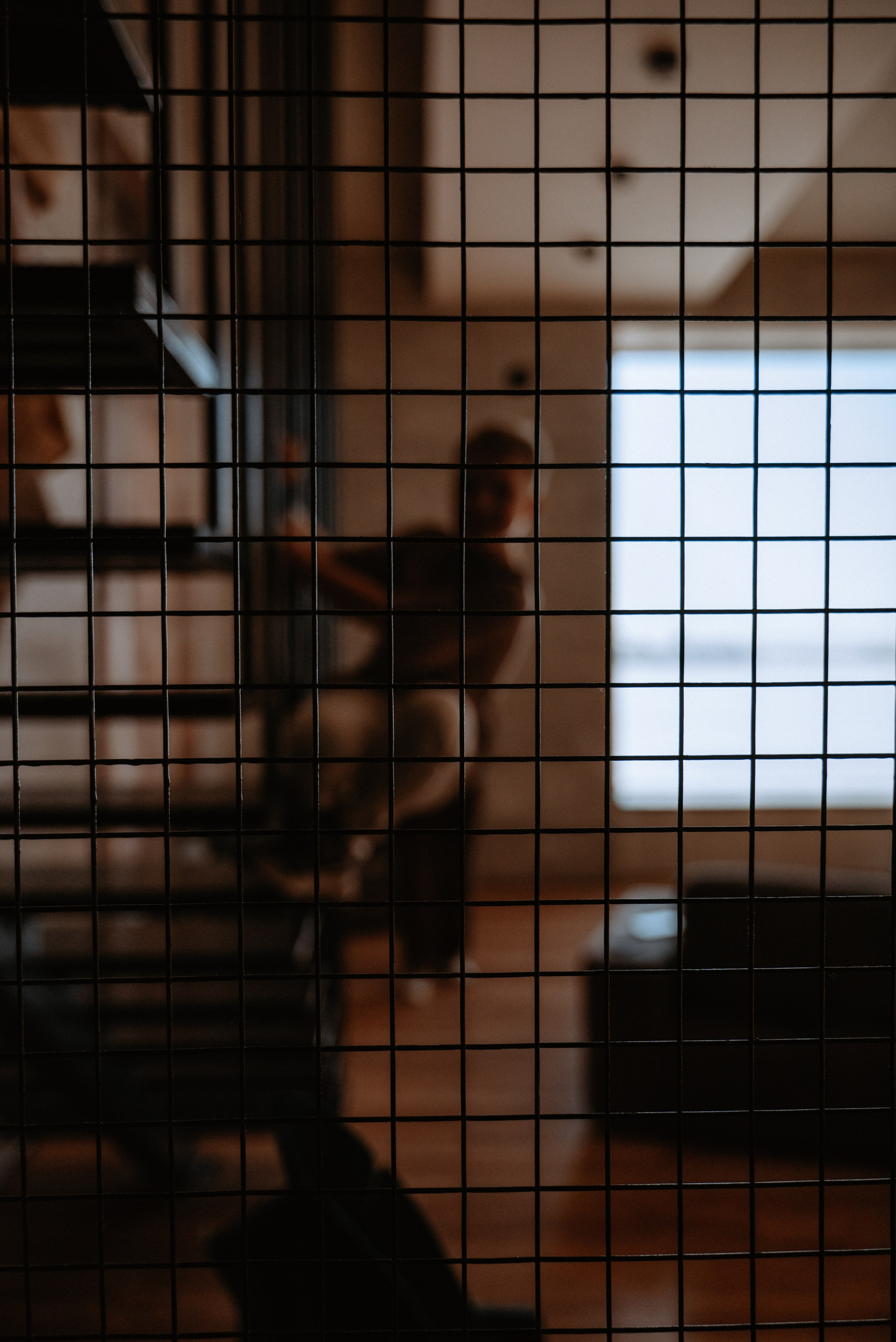 Большая семья