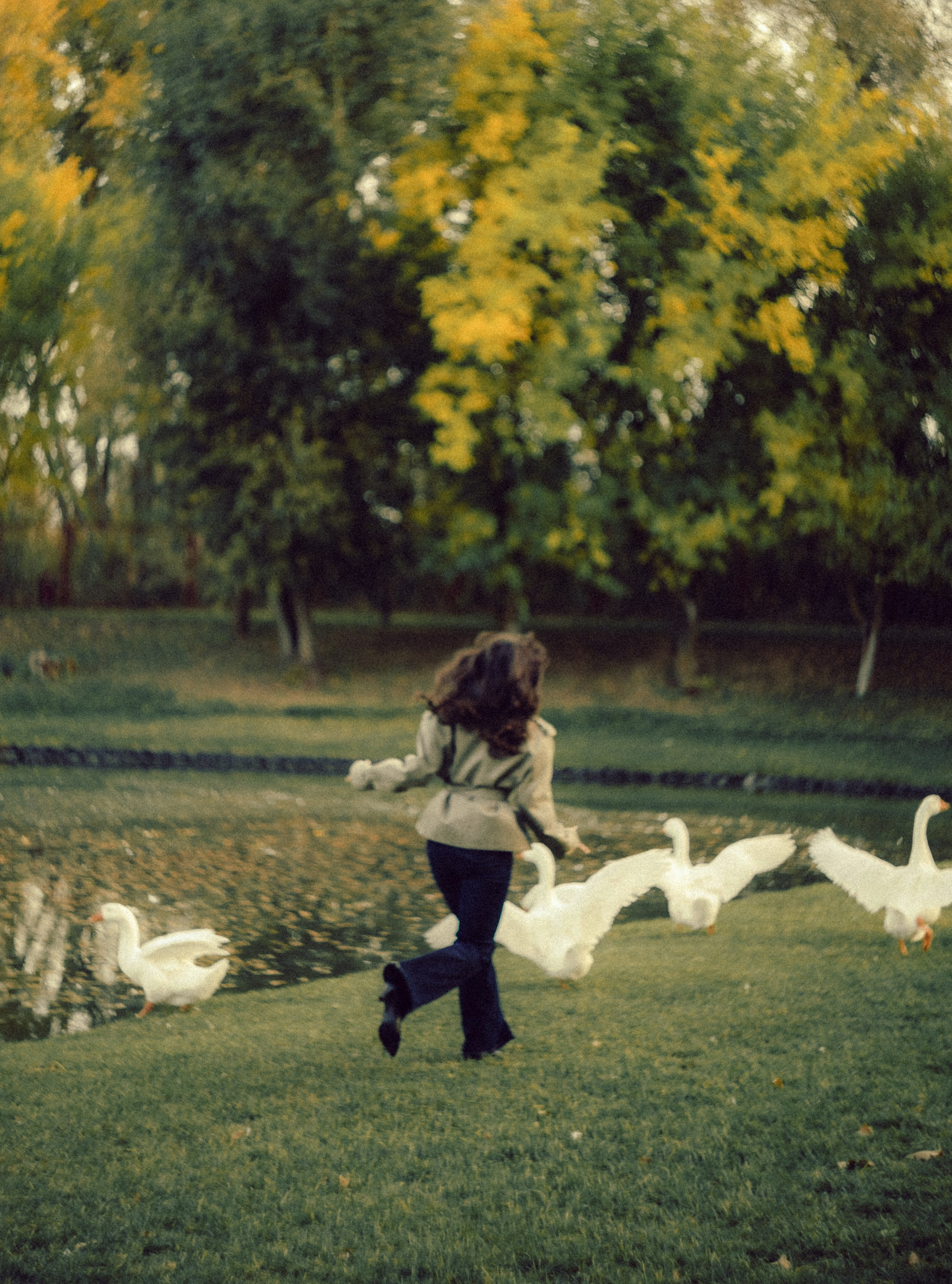 Софья. Фотограф свадебных и парных историй Кристина Шакула