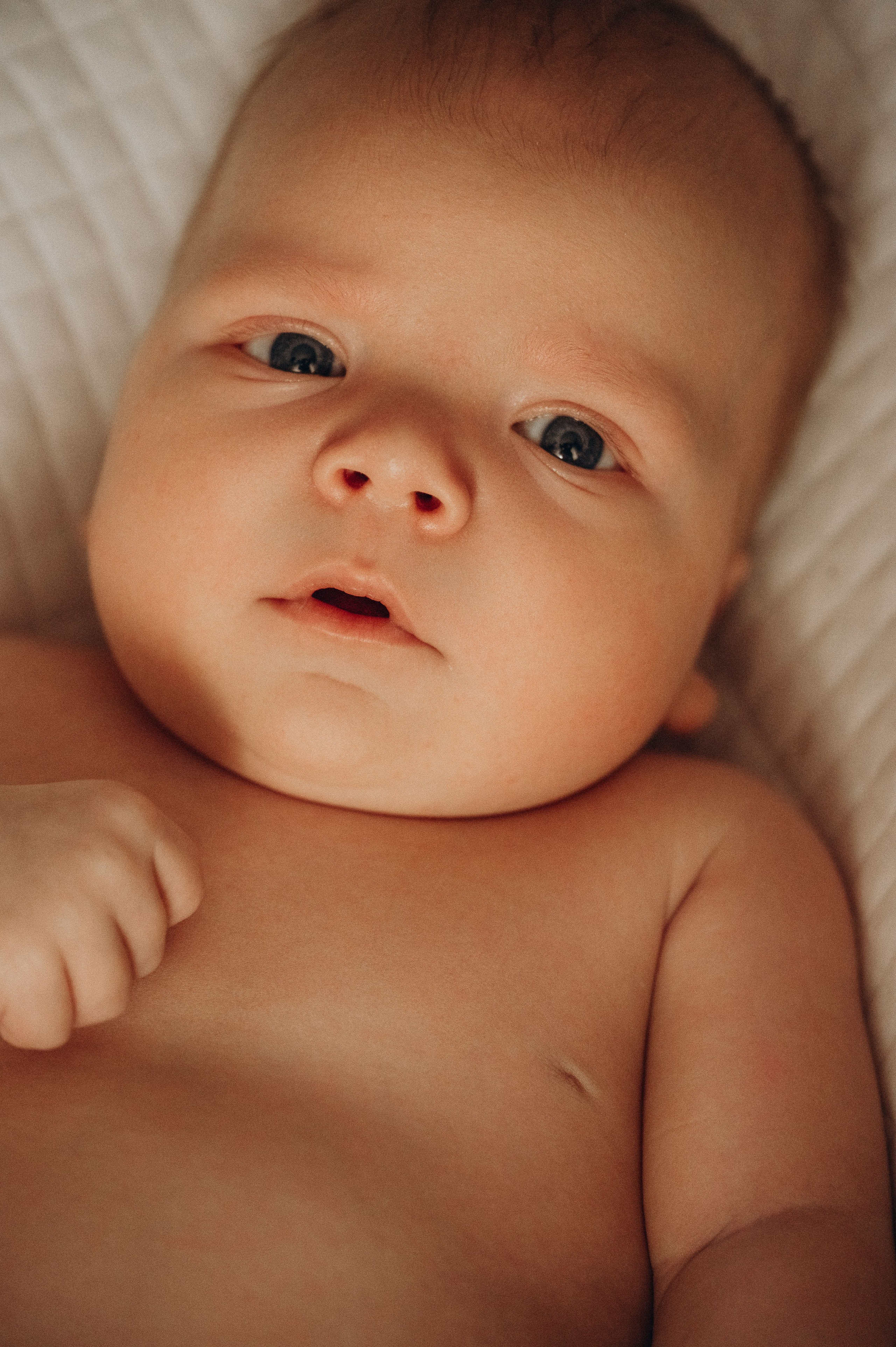 Иван, Ксения и Лев. Фотограф беременности и семьи, домашние съемки, Ньюборн