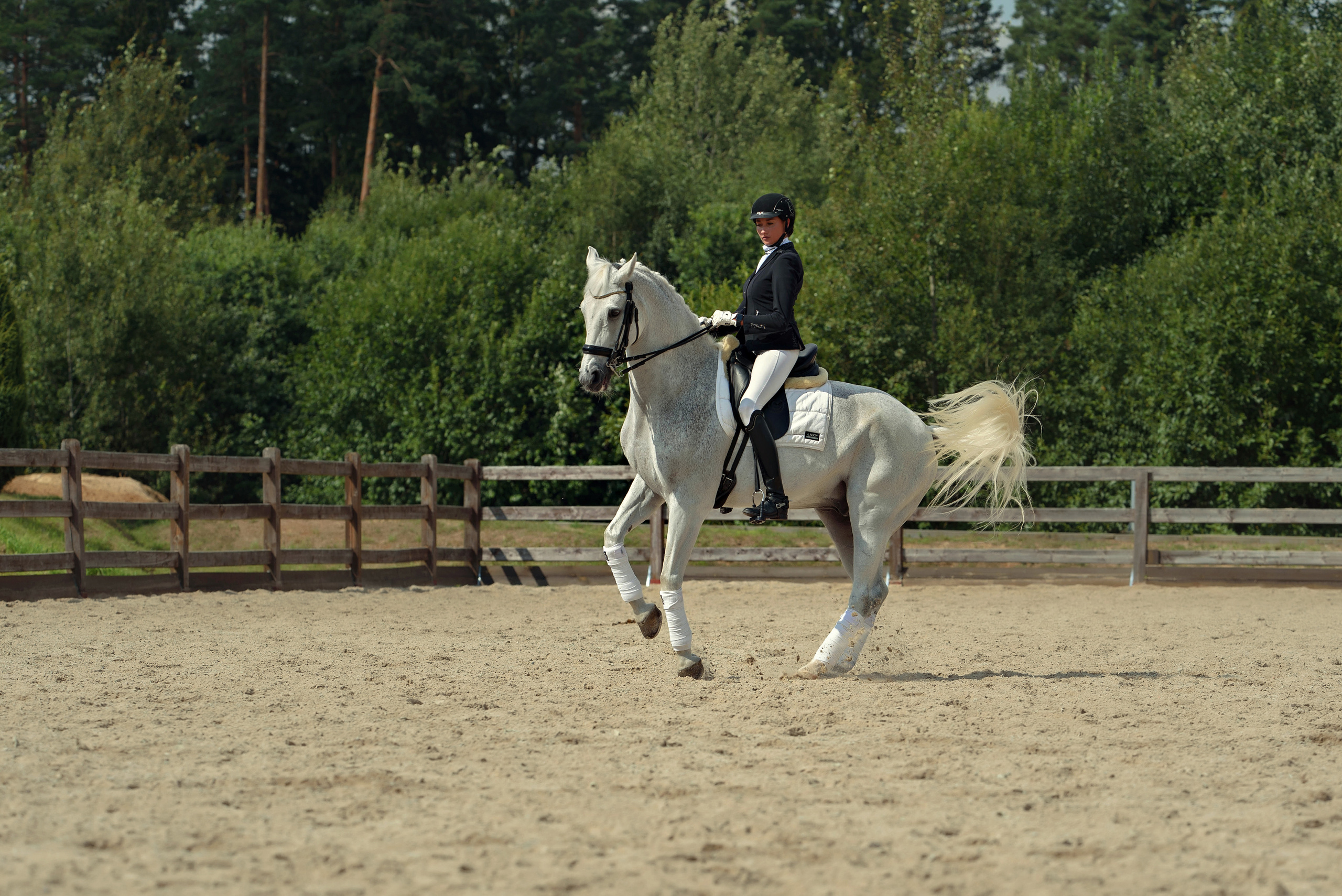 Съемки с лошадьми в стиле «Sport look». Фотограф Вероника Ранцева, фотосессии с лошадьми в Минске и Могилеве