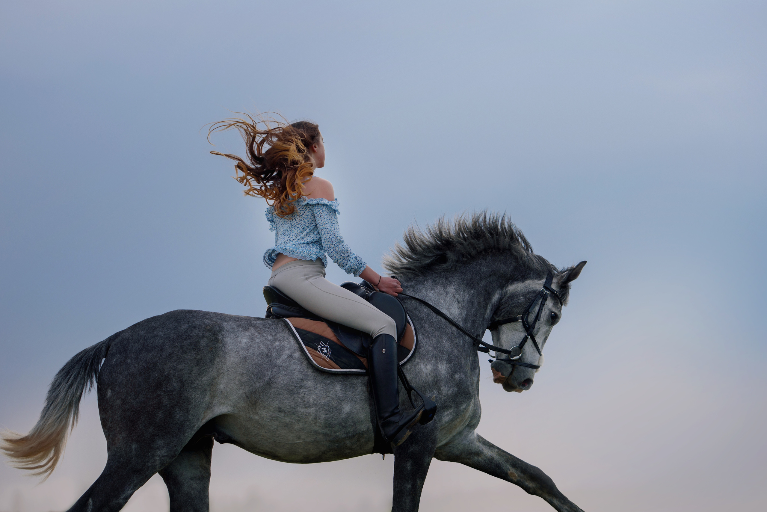 Съемки с лошадьми. Фотограф Вероника Ранцева, фотосессии с лошадьми в Минске и Могилеве
