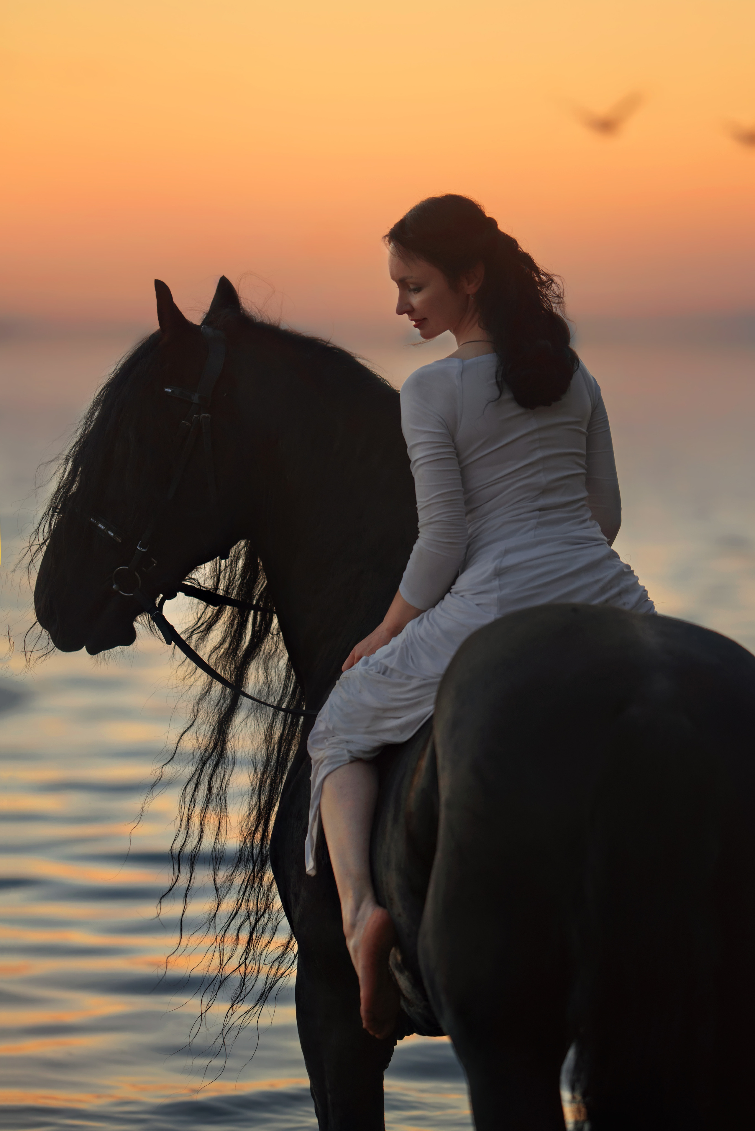 Съемки с лошадьми. Фотограф Вероника Ранцева, фотосессии с лошадьми в Минске и Могилеве