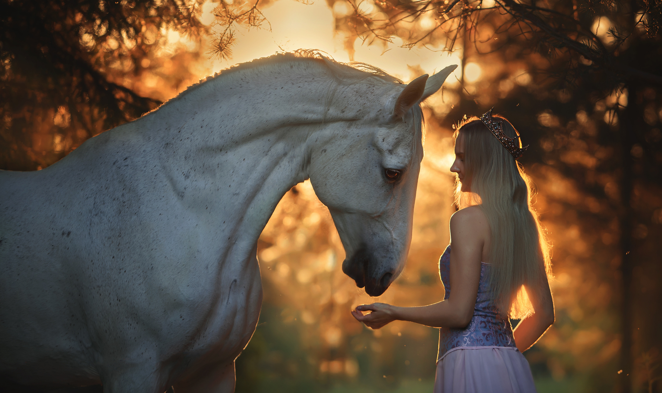 Сказочные съемки с лошадьми. Фотограф Вероника Ранцева, фотосессии с лошадьми в Минске и Могилеве