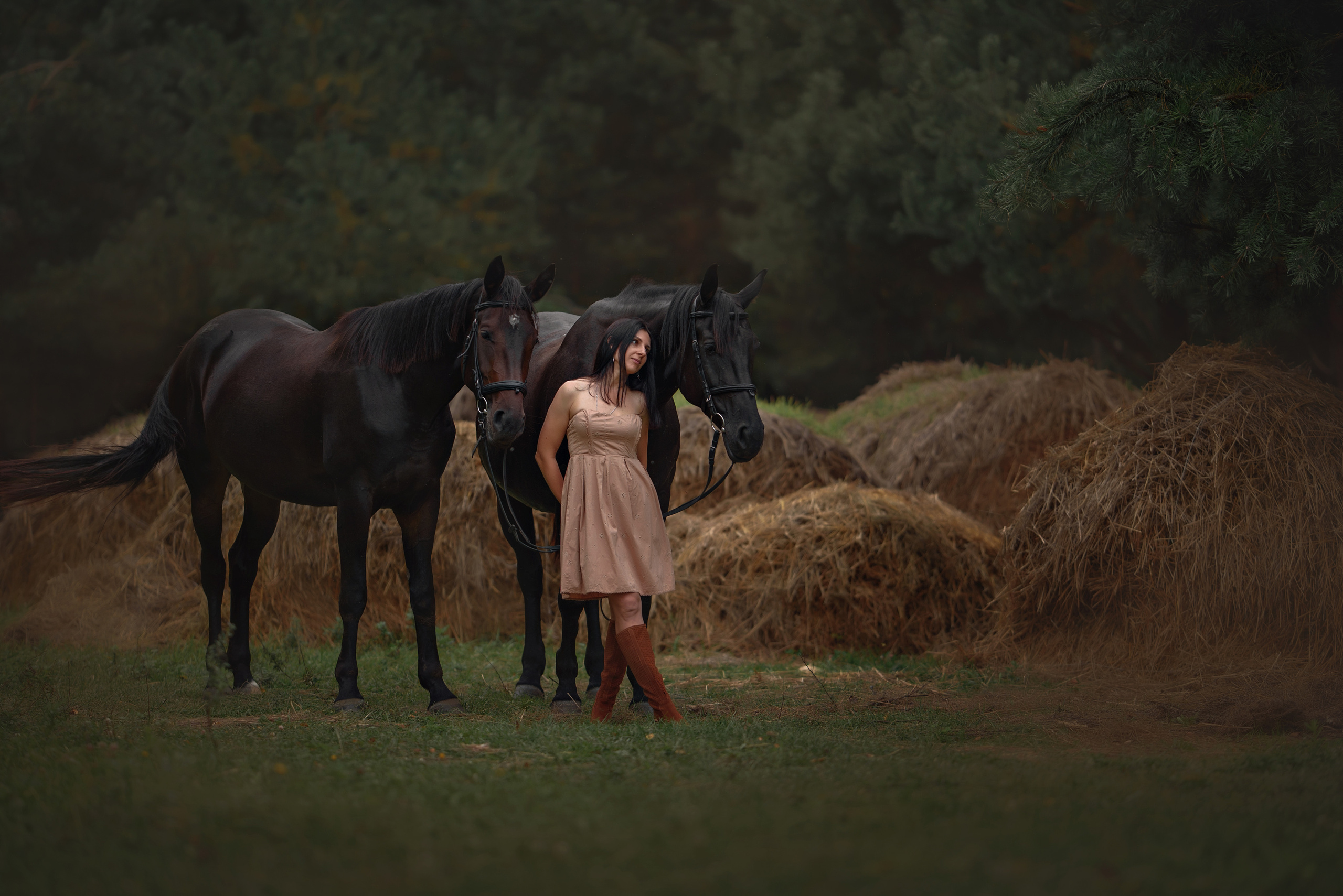 Съемки с лошадьми. Фотограф Вероника Ранцева, фотосессии с лошадьми в Минске и Могилеве