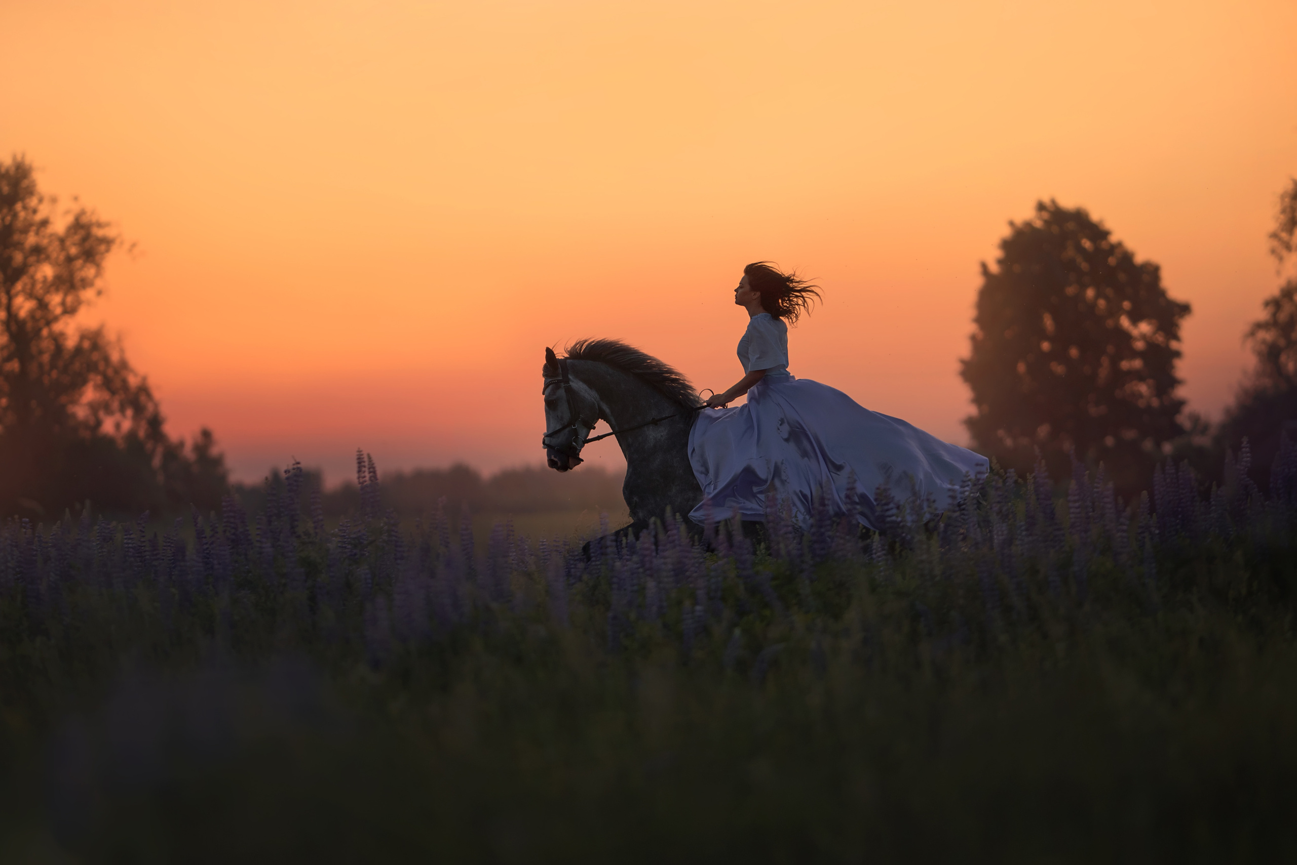 Съемки с лошадьми. Фотограф Вероника Ранцева, фотосессии с лошадьми в Минске и Могилеве