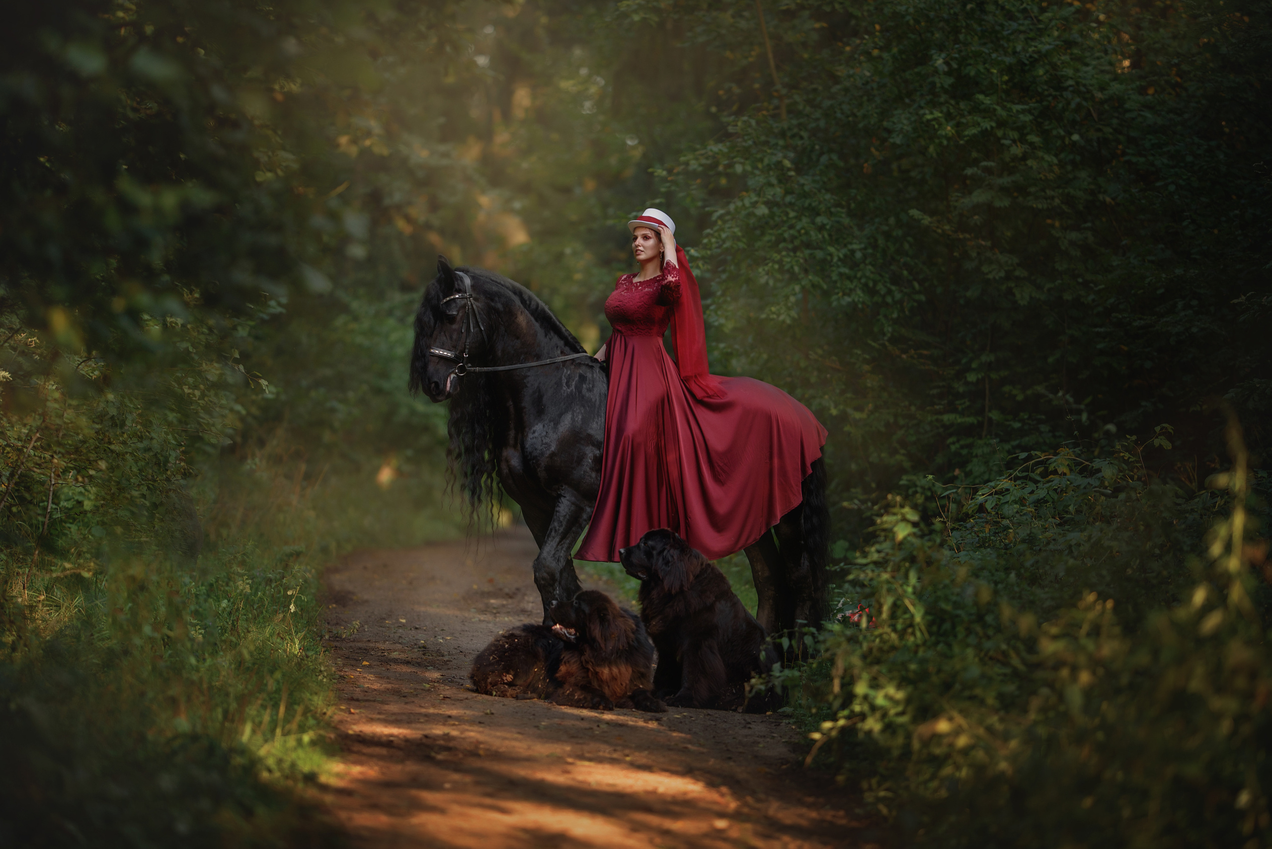 Съемки с лошадьми. Фотограф Вероника Ранцева, фотосессии с лошадьми в Минске и Могилеве