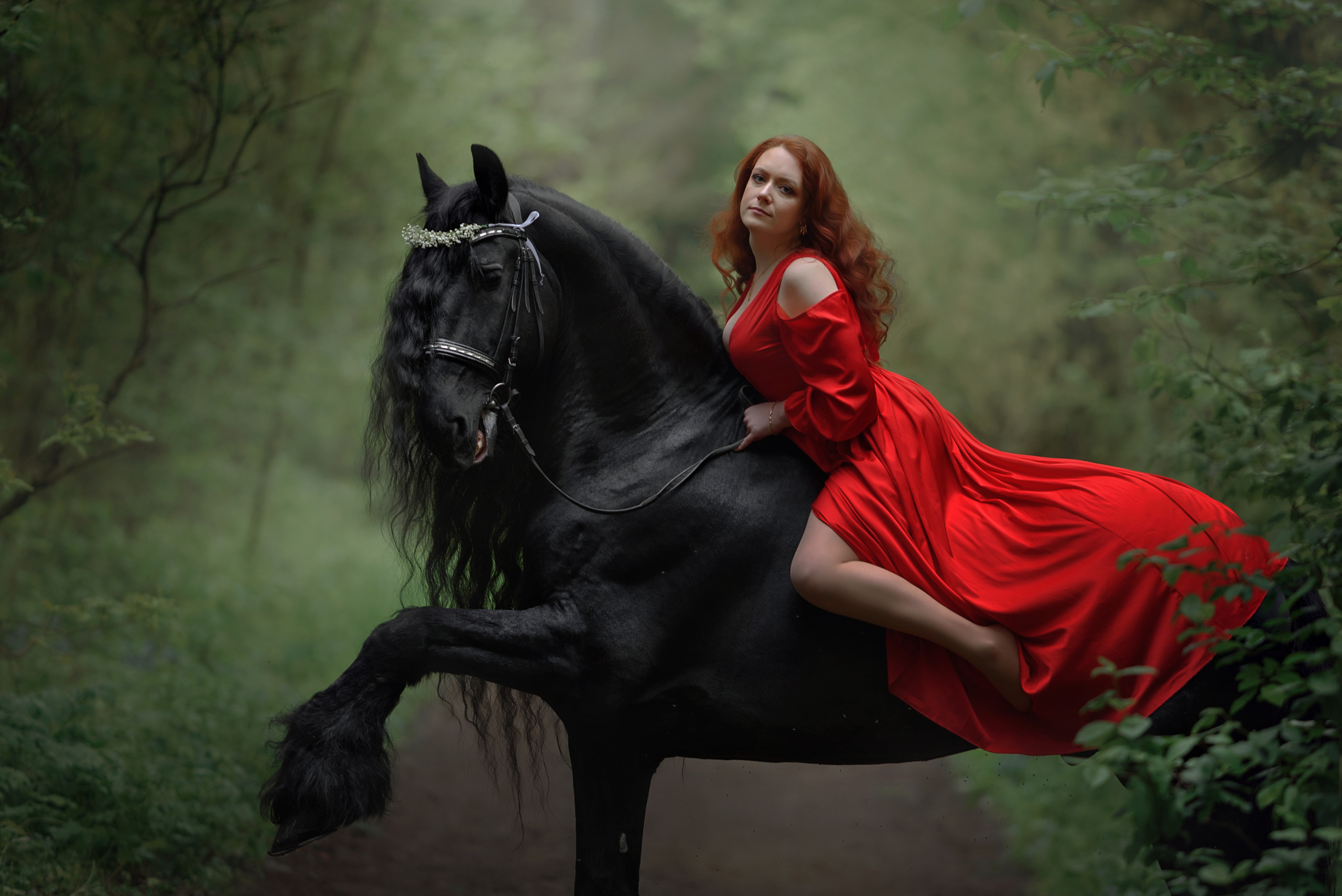 Съемки с лошадьми. Фотограф Вероника Ранцева, фотосессии с лошадьми в Минске и Могилеве