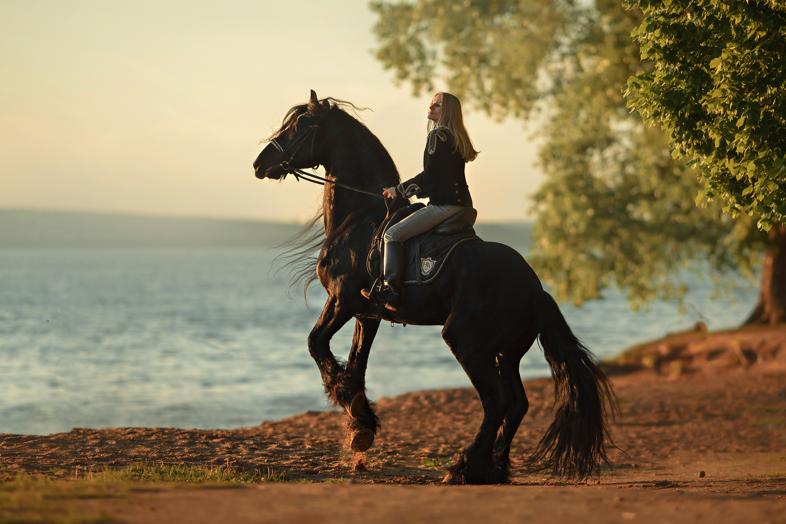 Съемки с лошадьми. Фотограф Вероника Ранцева, фотосессии с лошадьми в Минске и Могилеве