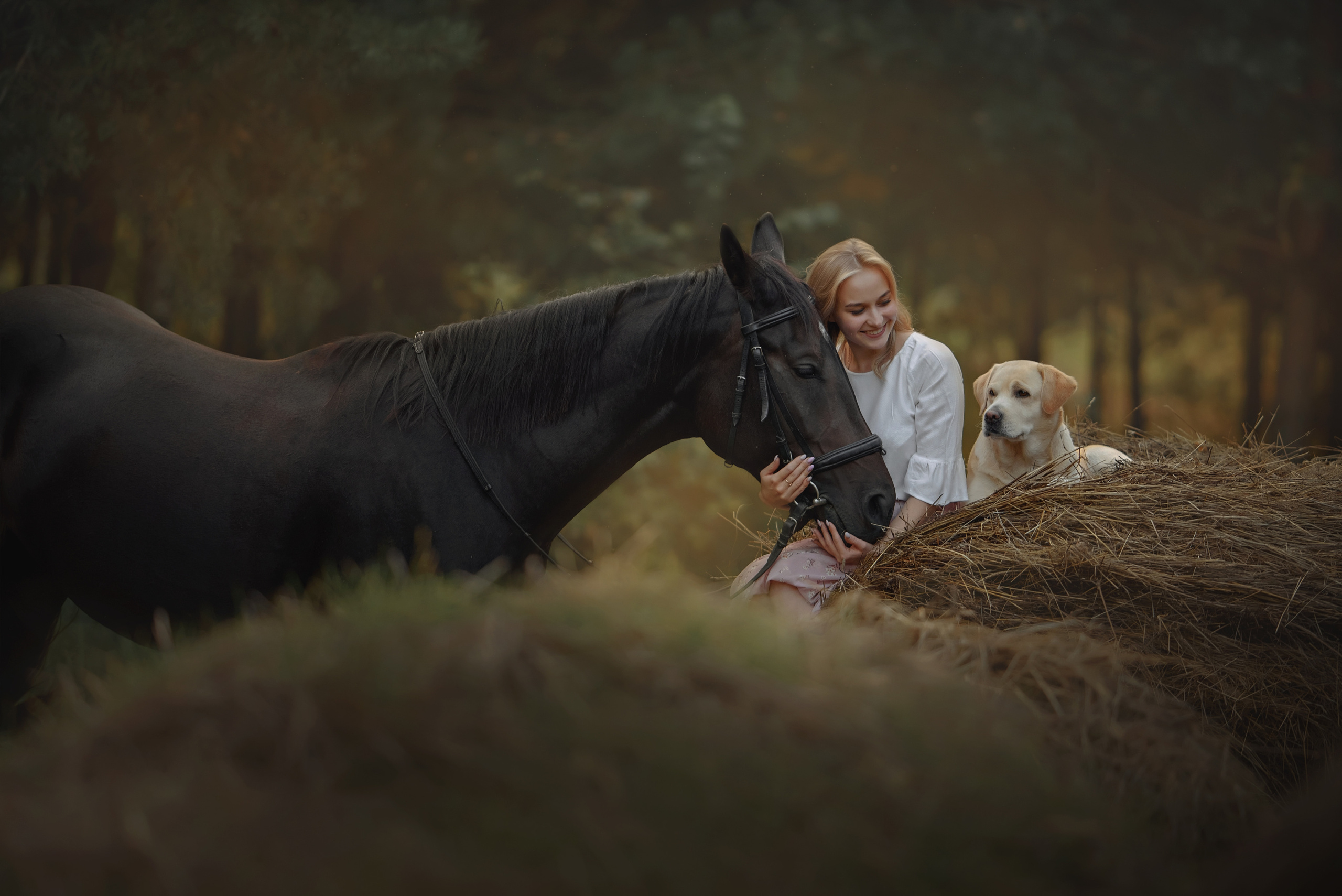 Съемки с лошадьми. Фотограф Вероника Ранцева, фотосессии с лошадьми в Минске и Могилеве