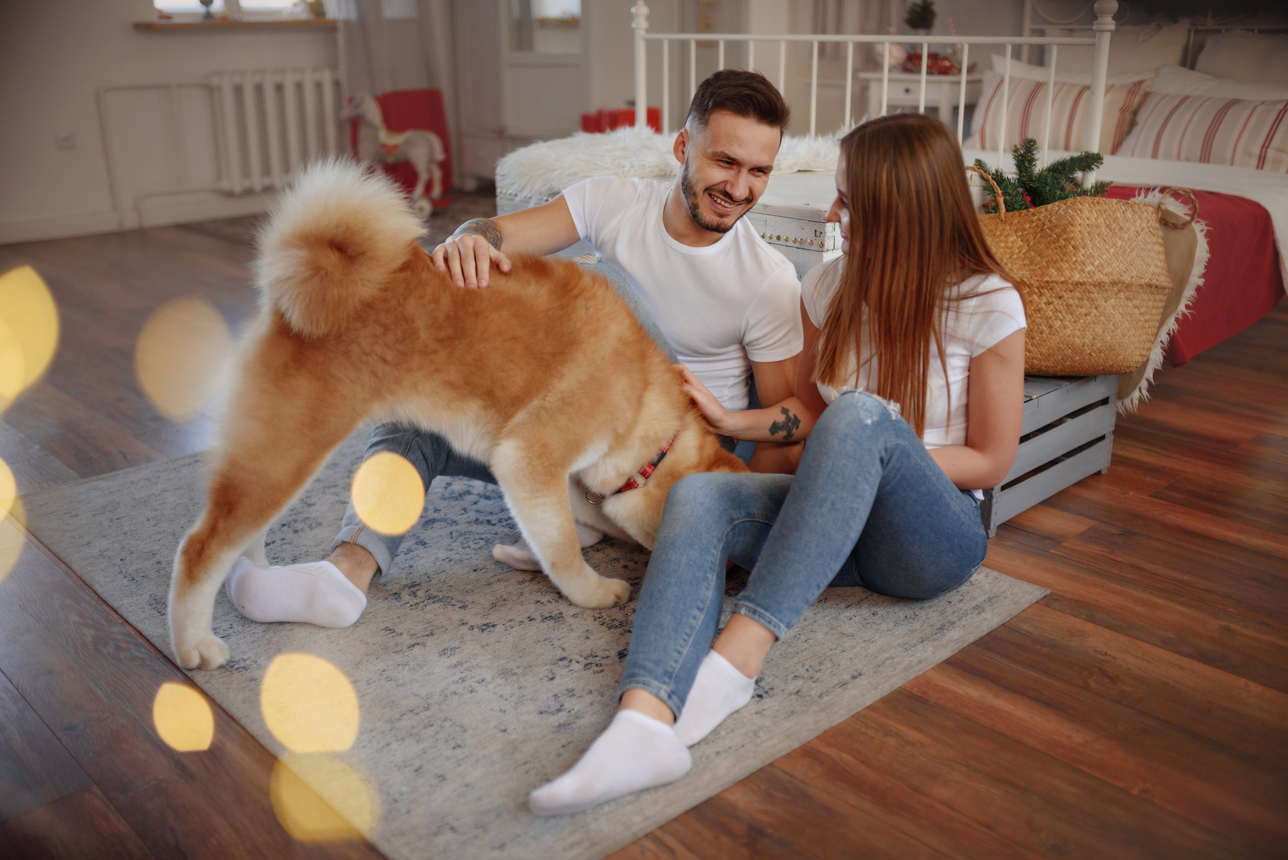 Индивидуальные и семейные фотосессии (студийные). Фотограф Вероника Ранцева, фотосессии с лошадьми в Минске и Могилеве